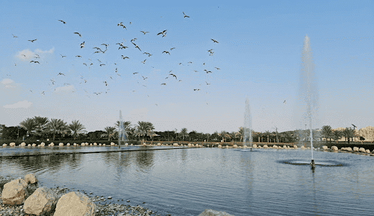 Al Khawaneej District Dubai