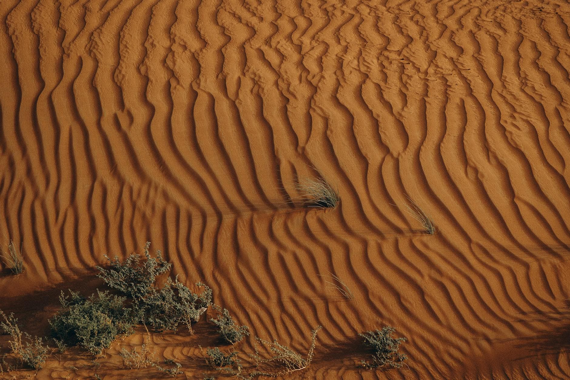 Aerial view of mesmerizing sand dunes and vegetation in Al Ain, UAE desert.