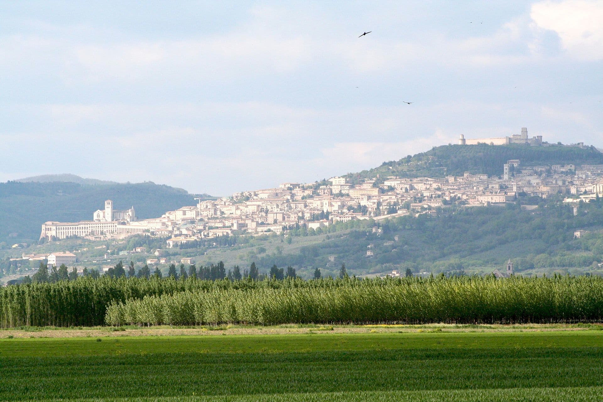 Assisi, Italy
