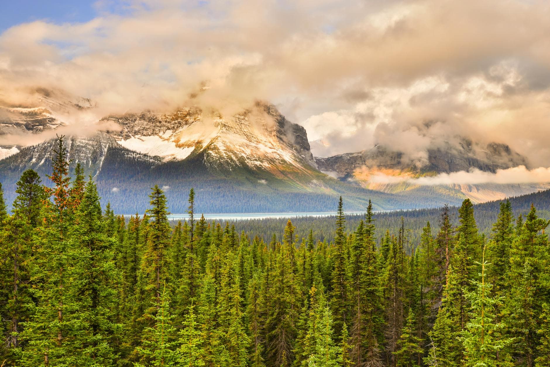 Stunning sunrise view of snow-capped mountains and dense forest in Banff National Park, Alberta, Canada.