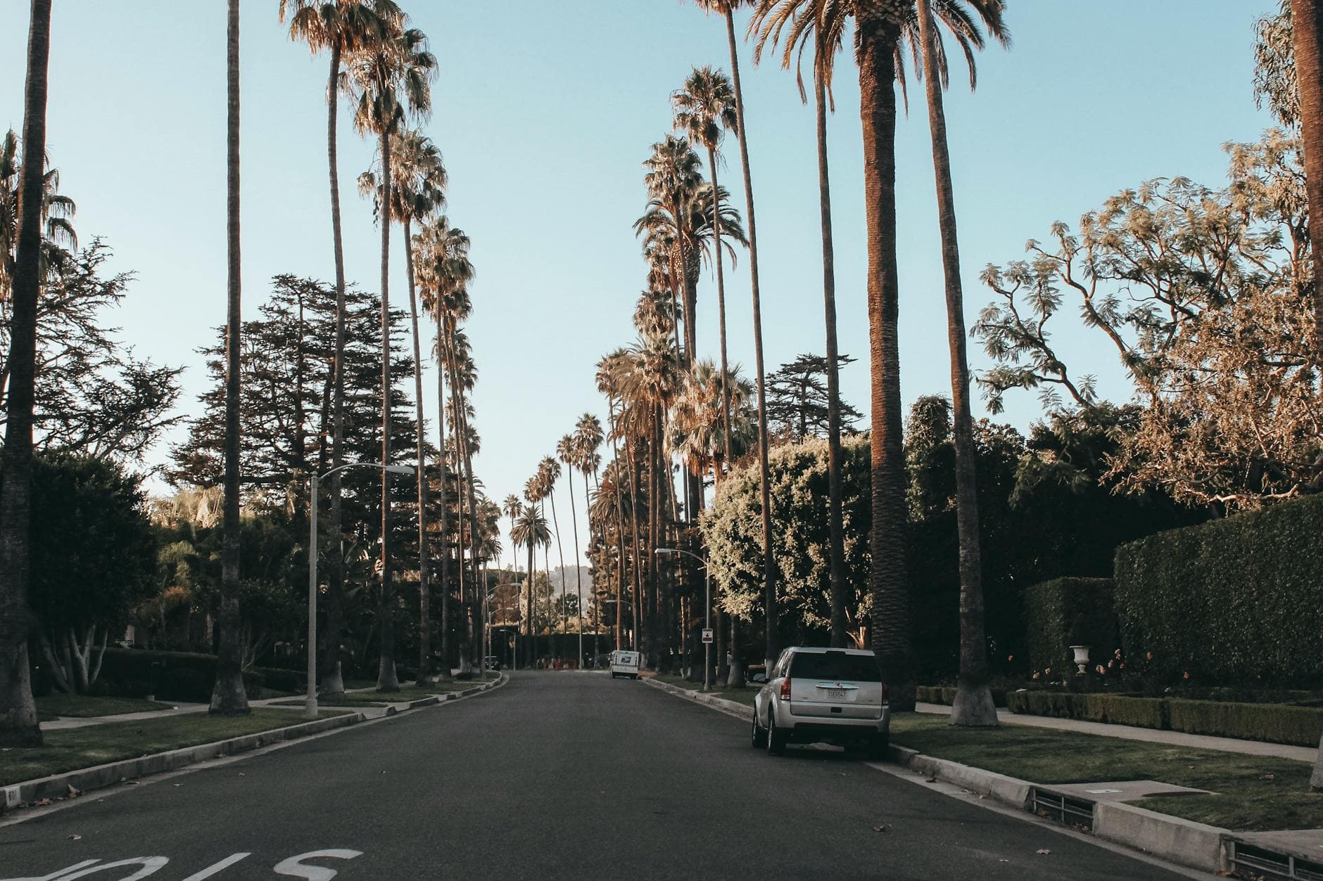 Scenic view of a palm-lined street in Beverly Hills during dusk, showcasing urban elegance.