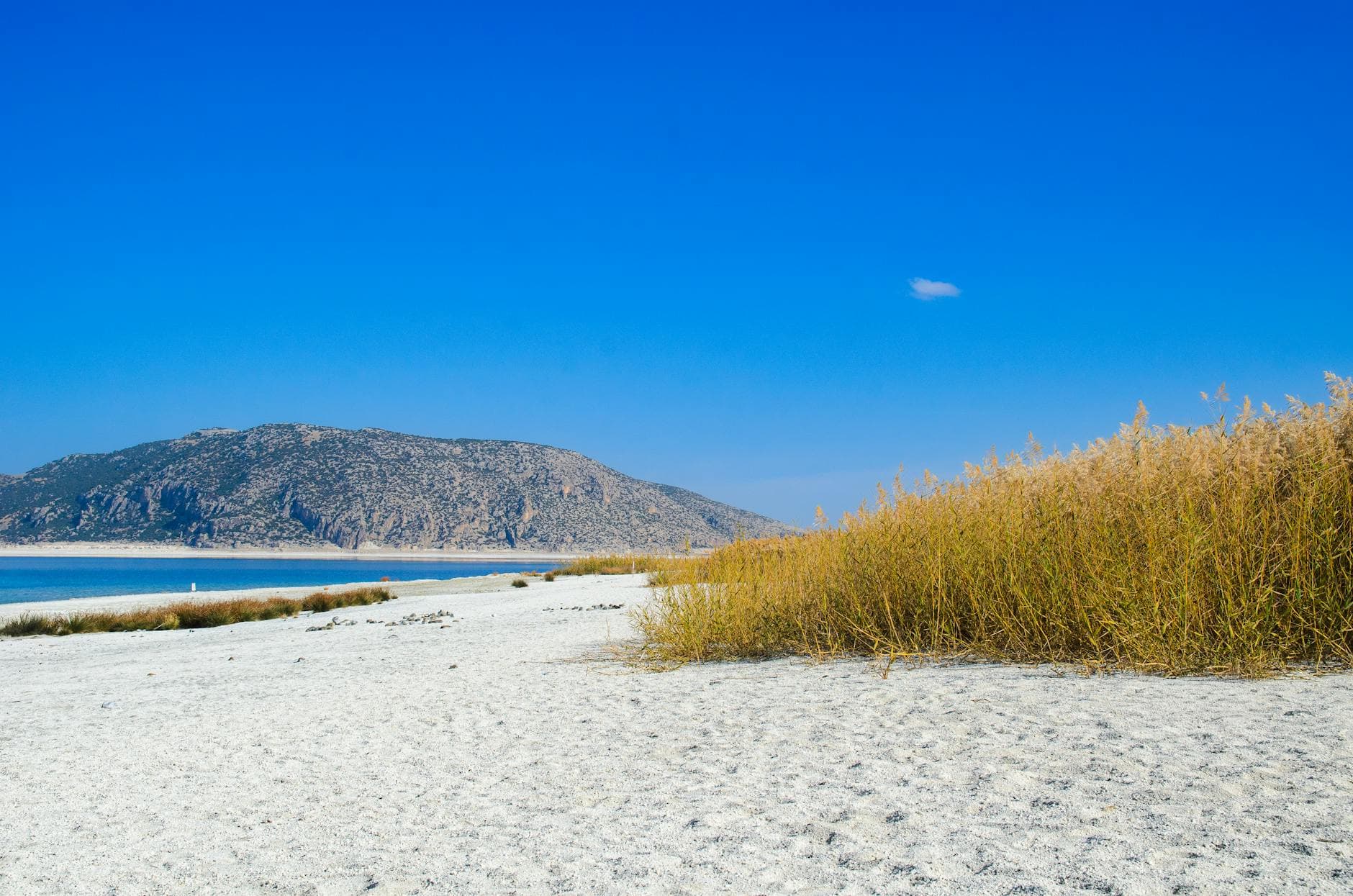 Peaceful view of a sandy beach, reeds, and a mountain under a clear blue sky in Burdur, Türkiye.