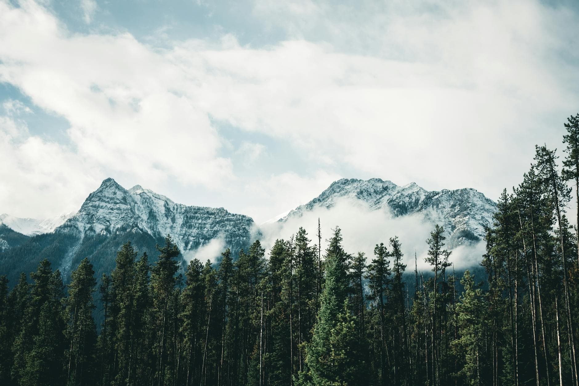 A breathtaking view of snow-covered mountains and evergreen forest in Canmore, Alberta, Canada.