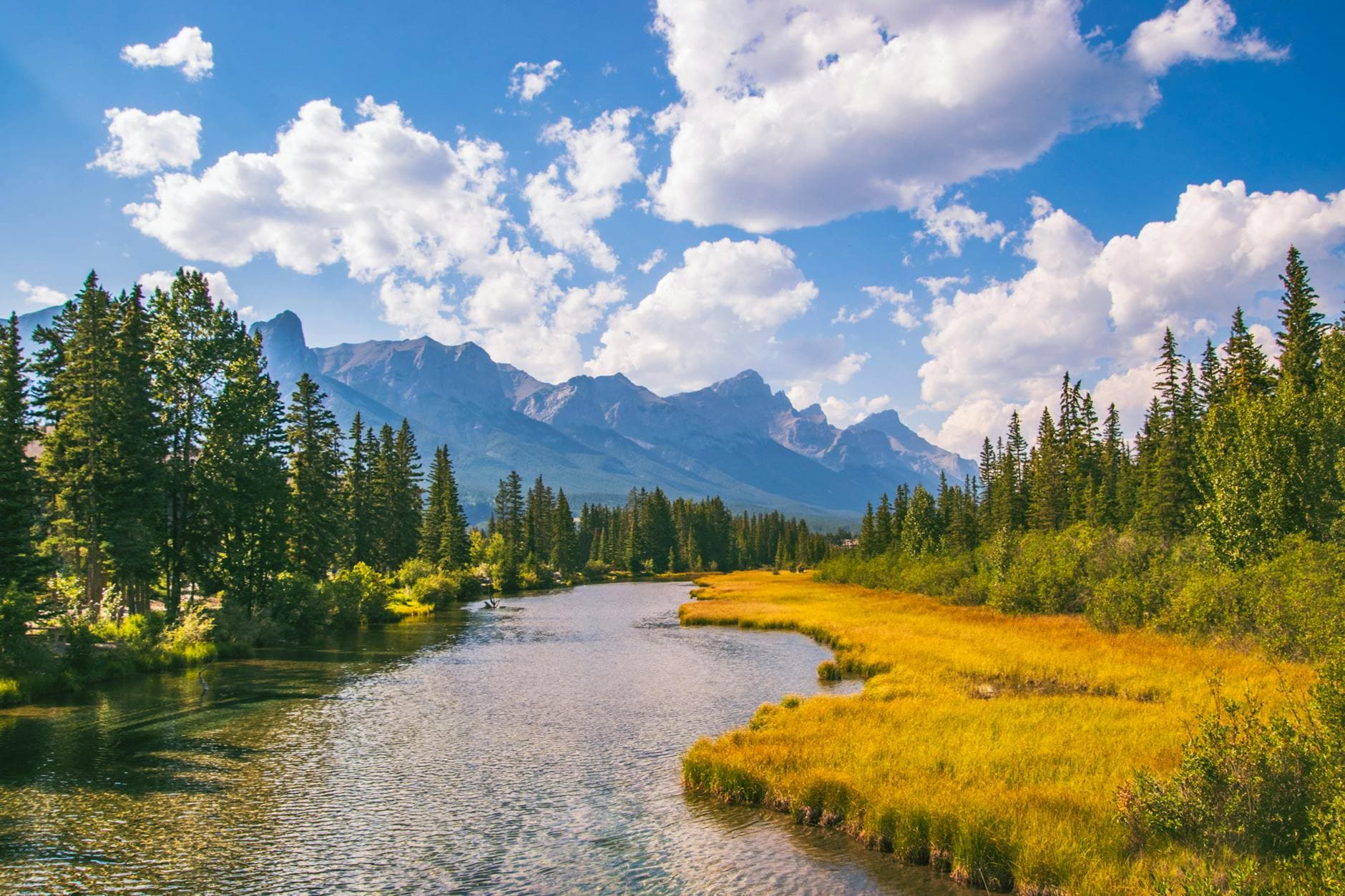 Stunning view of the Bow River with mountains and forest in Canmore, Alberta, Canada.