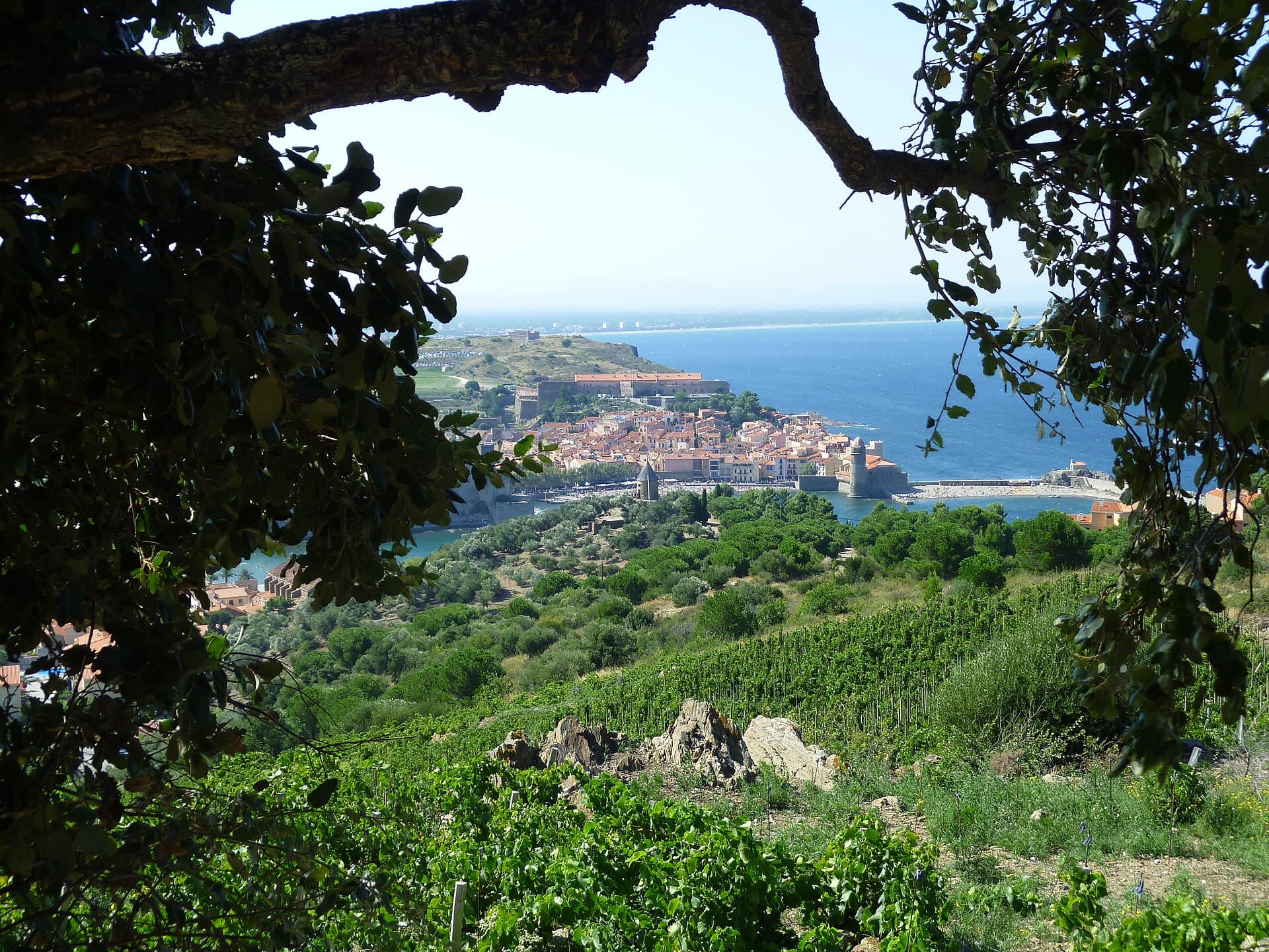 Collioure, France