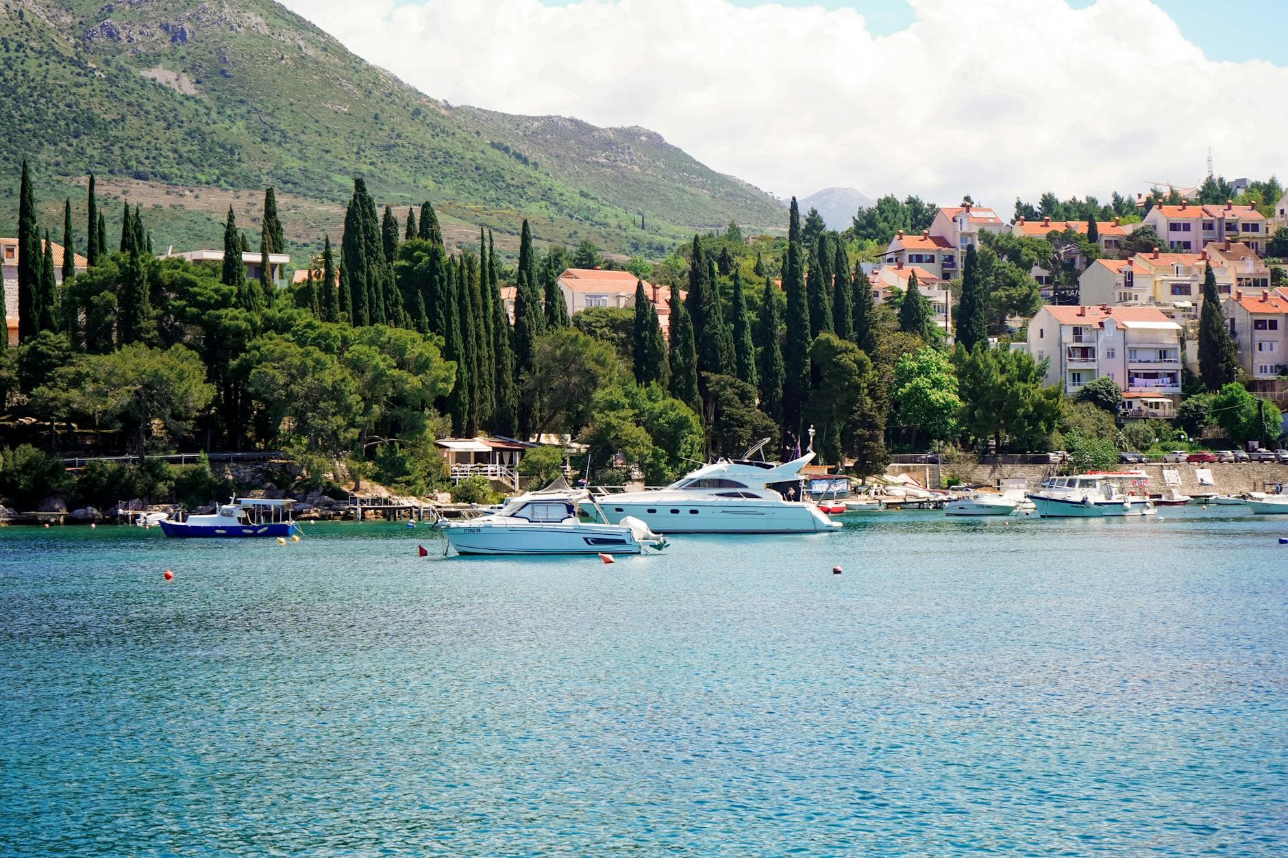 Scenic view of a coastal village with yachts, lush greenery, and hillside homes.