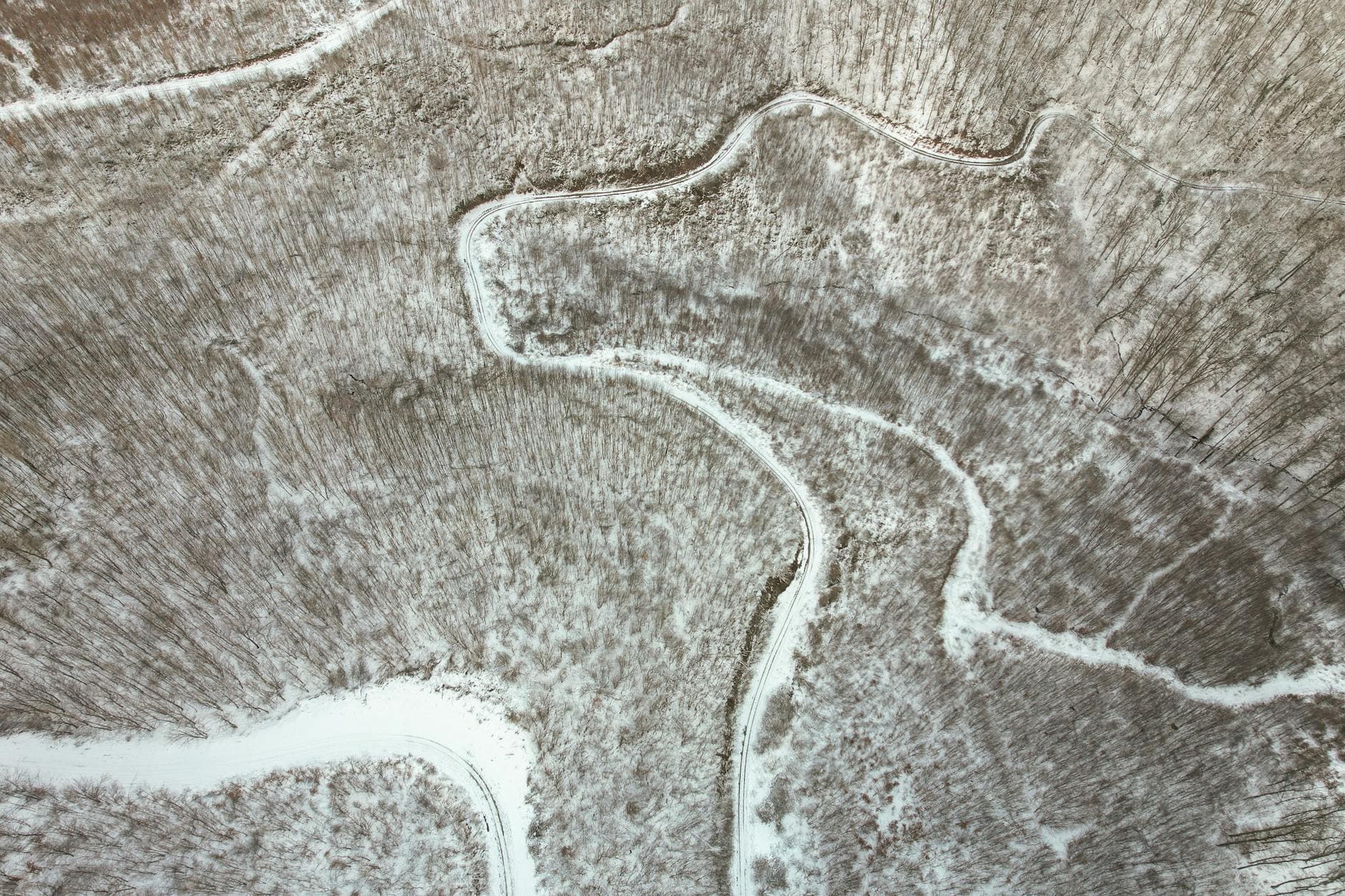 Aerial view of snowy forest in Daruvar, Croatia, showcasing winding paths and natural beauty.