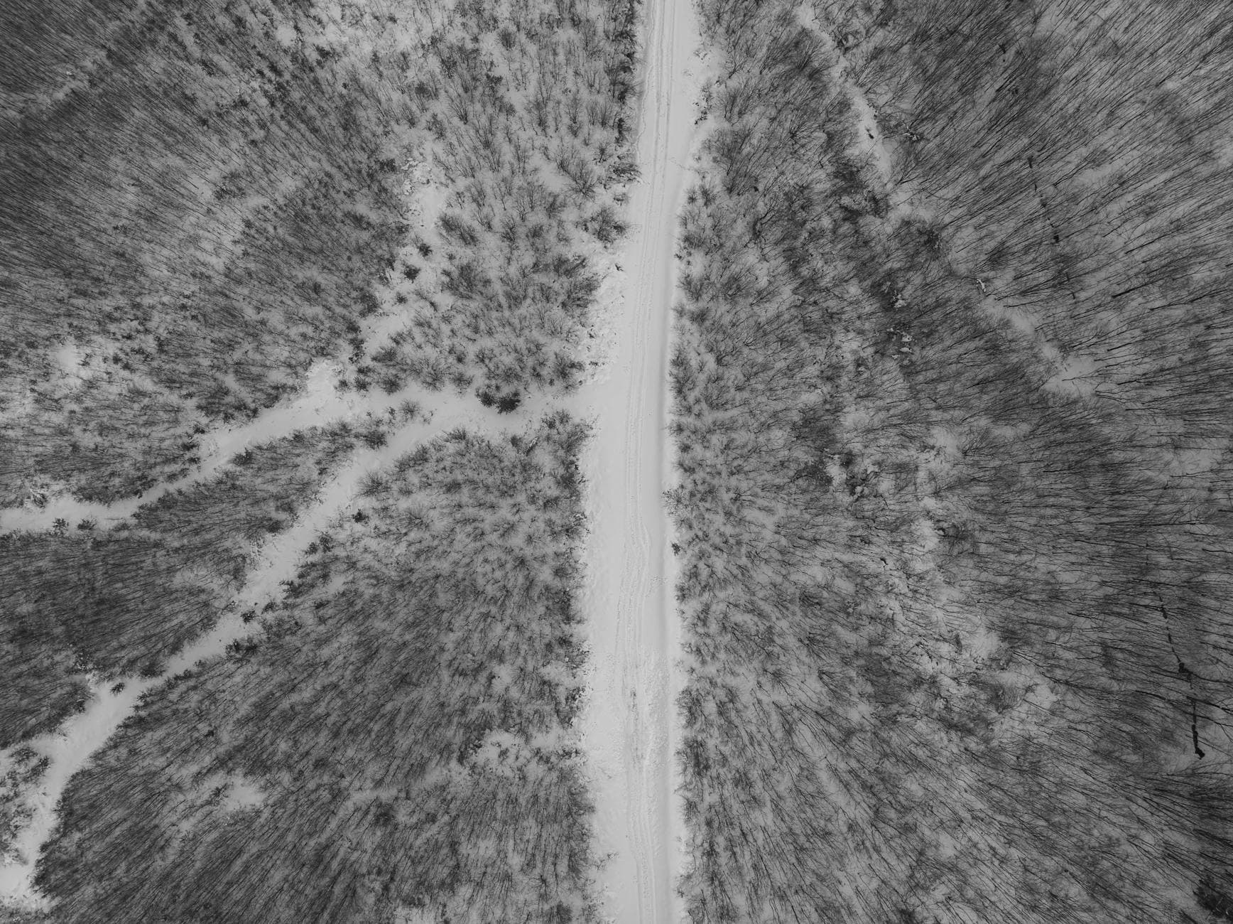 Black and white aerial shot of a snowy forest path in Daruvar, Croatia.