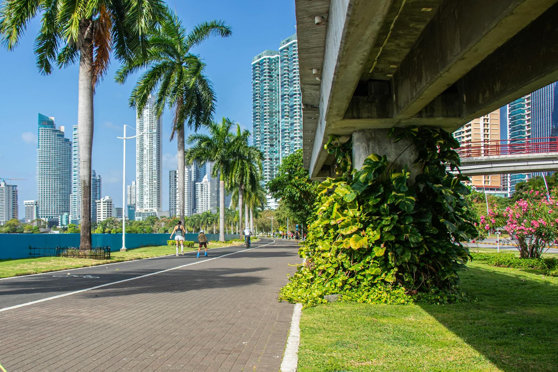 A cityscape featuring skyscrapers, palm trees, and a pedestrian path on a sunny day.