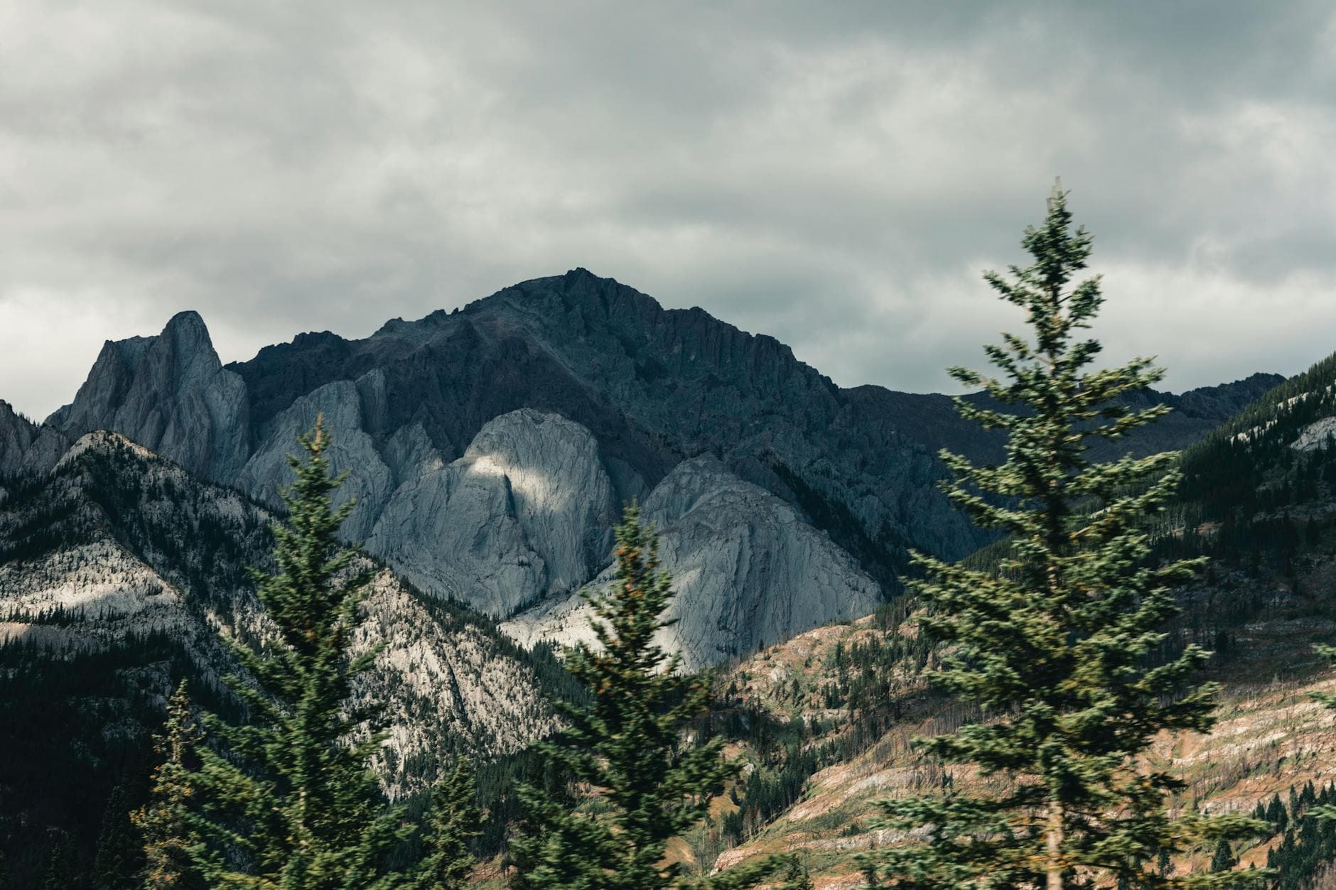 Stunning view of the Rocky Mountains with conifers, showcasing natural beauty in Jasper, Canada.