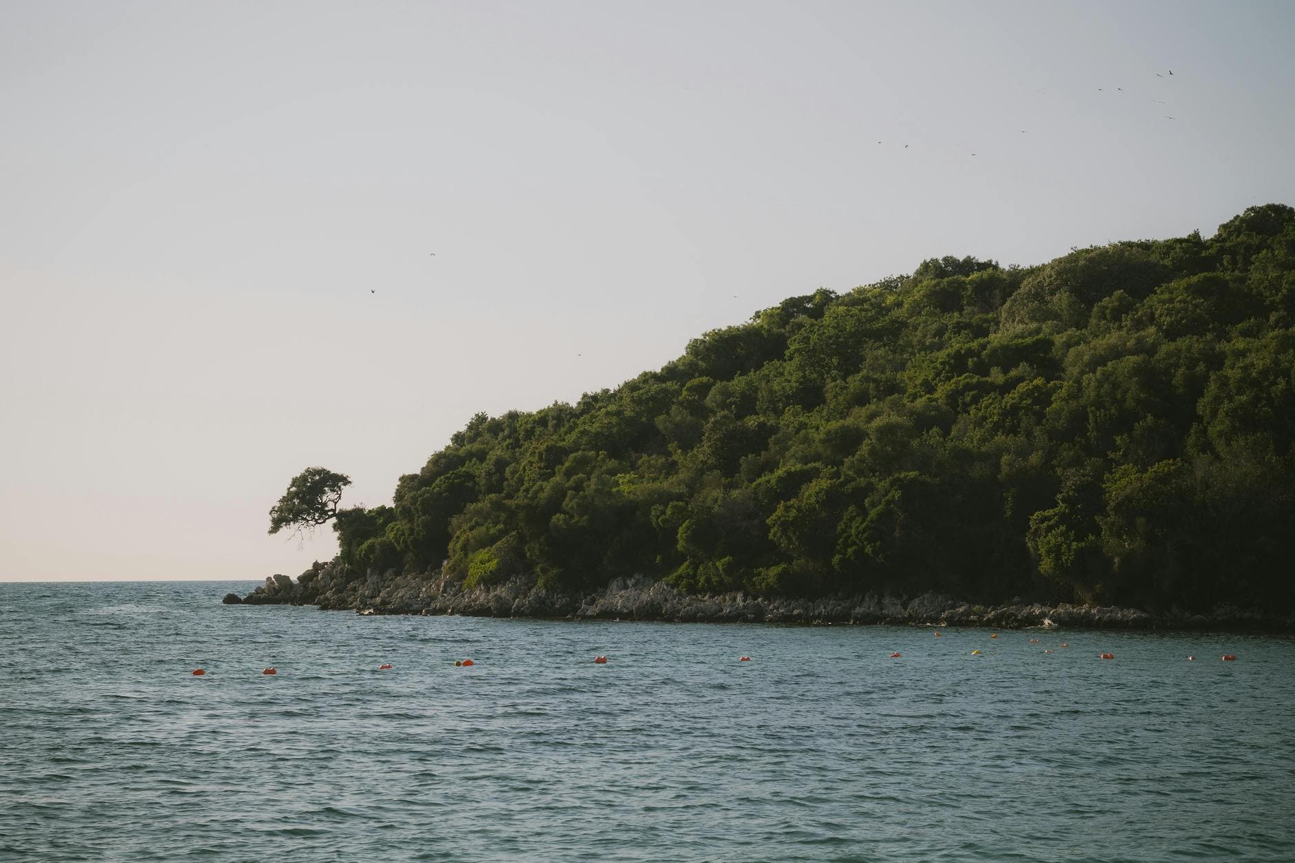 Serene coastal view of Ksamil, Albania with lush greenery and clear waters.