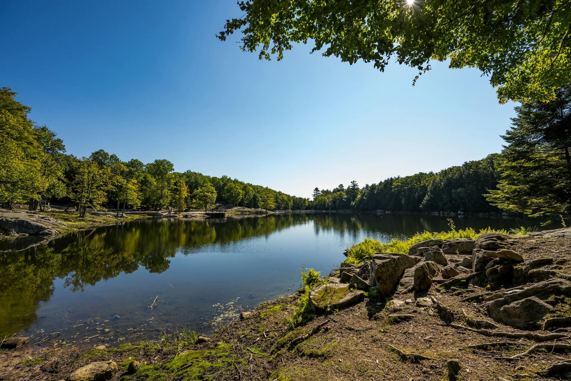 Scenic view of a serene lake surrounded by forest in Montebello, Quebec.