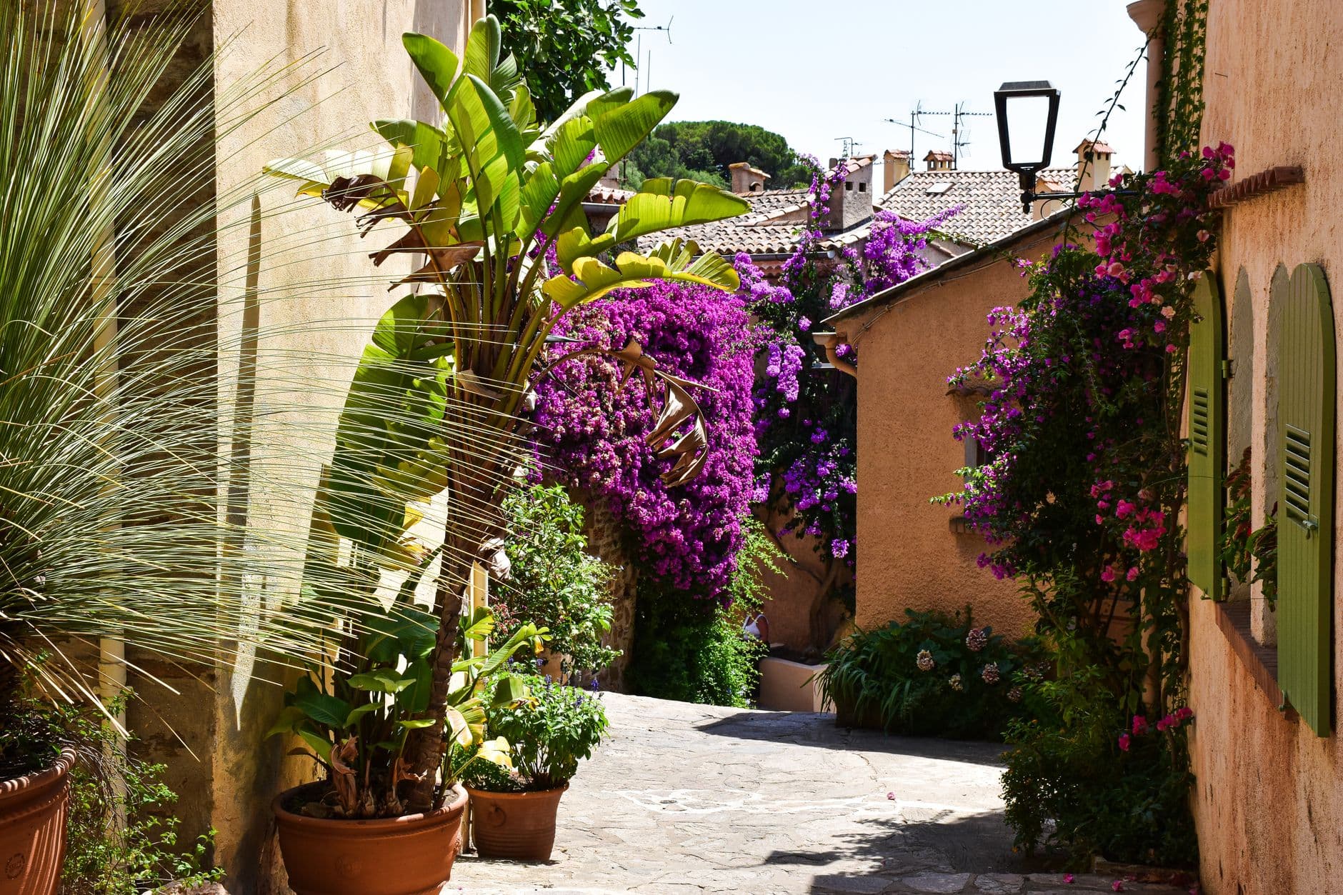 Explore a picturesque street adorned with vibrant bougainvillea in Bormes-les-Mimosas, South of France.