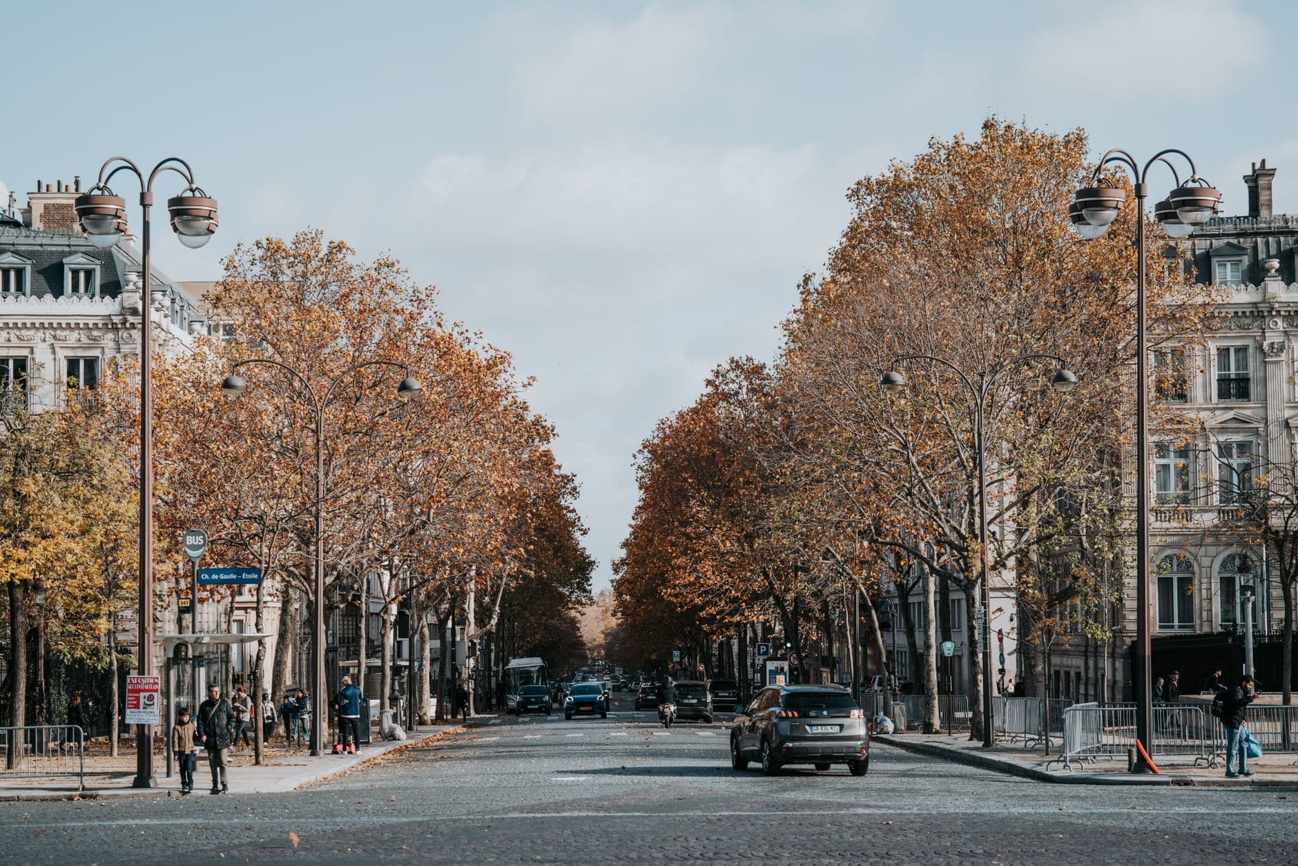 A peaceful autumn day in a bustling Paris street, lined with trees and classic architecture.