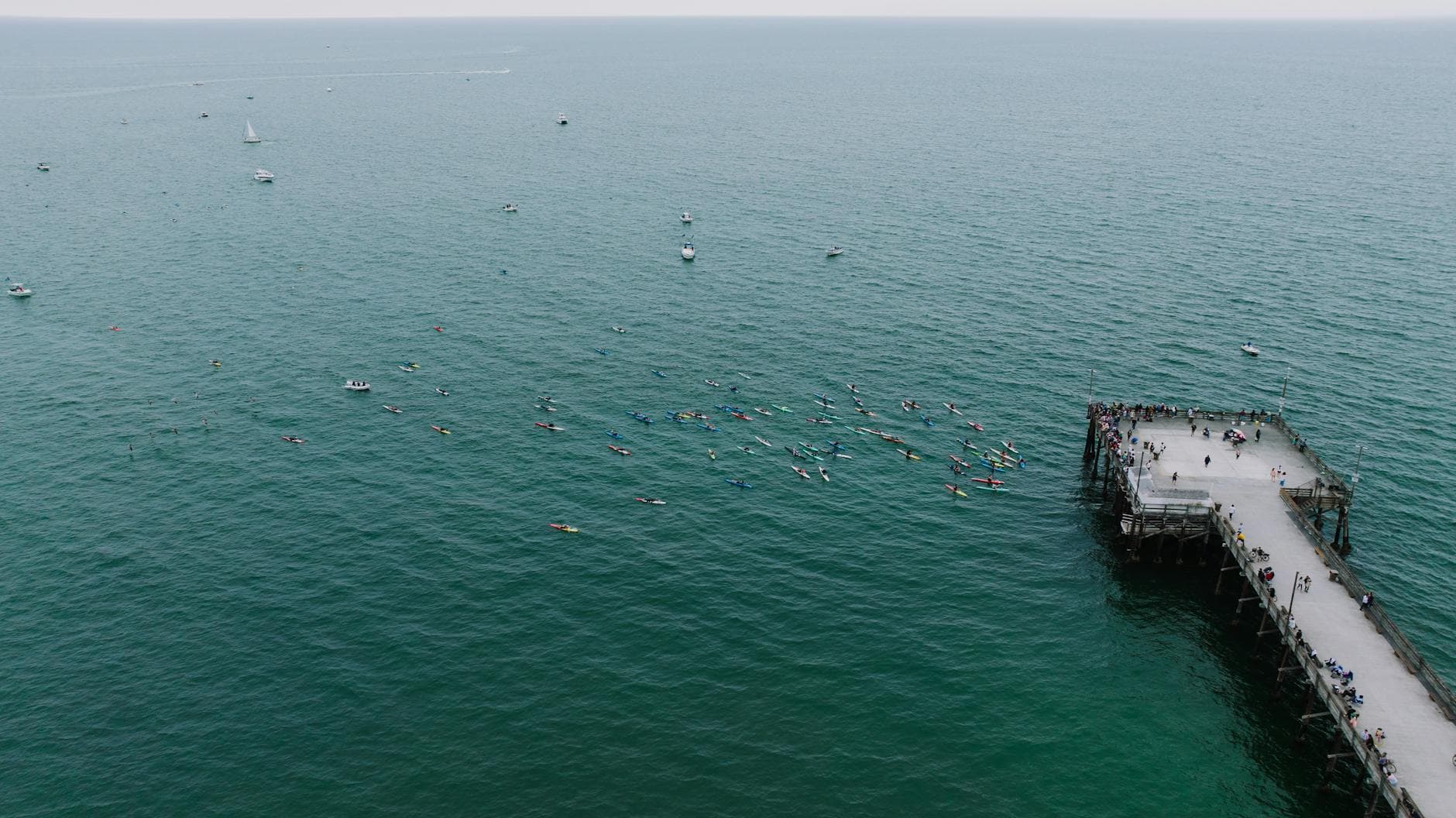 A captivating aerial shot of kayakers near Newport Beach Pier, highlighting a scenic marine landscape.