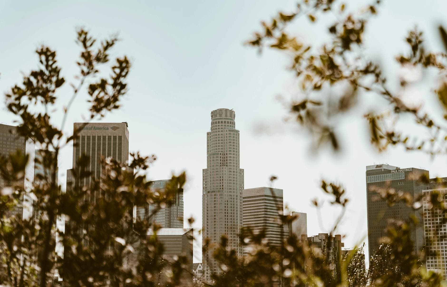 Downtown Los Angeles skyline with foliage in the foreground, modern architecture.