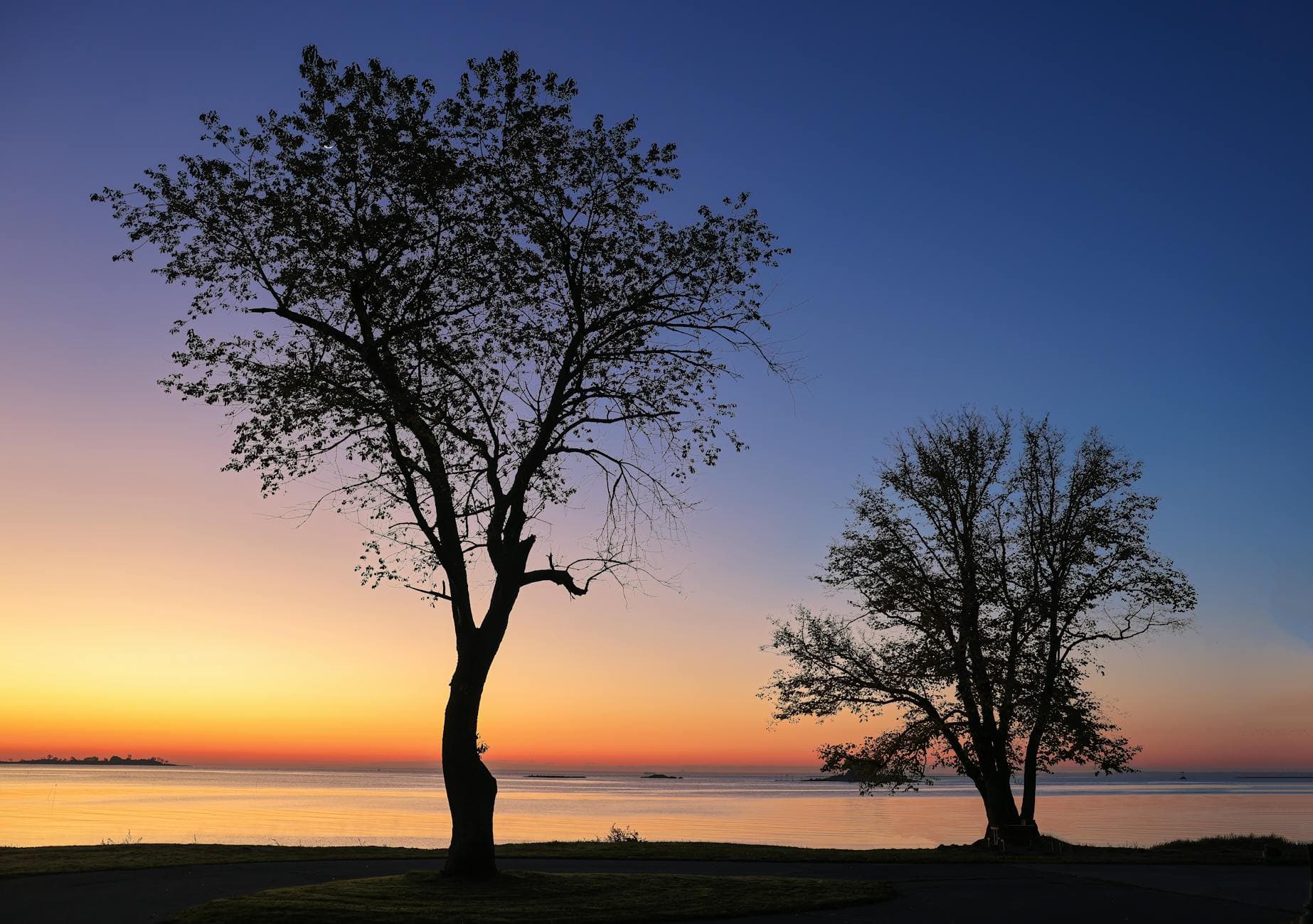 Serene view of a sunset with silhouetted trees along the Norwalk coastline.