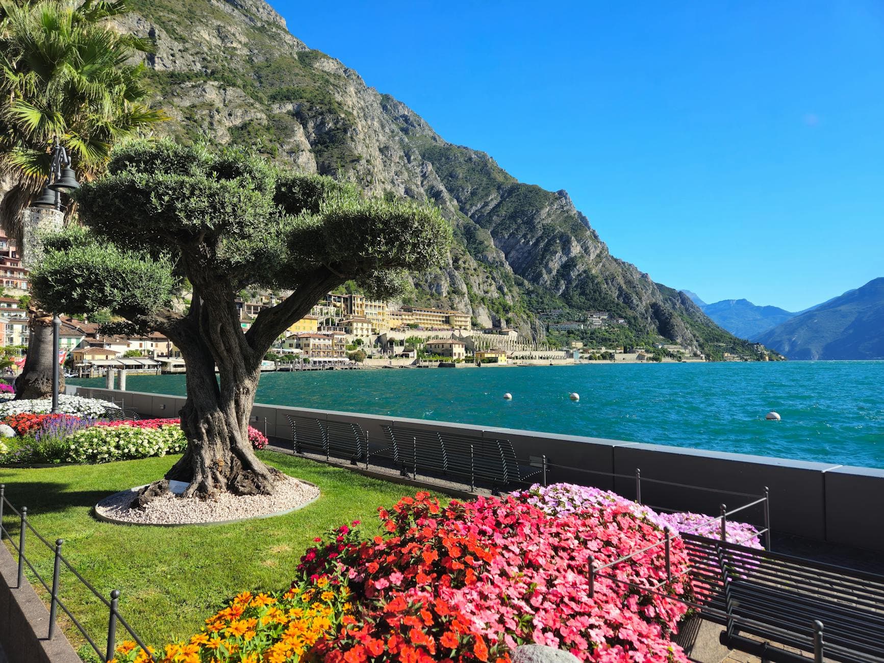 Picturesque promenade with vibrant flowers along Lake Garda in Limone sul Garda, Italy.