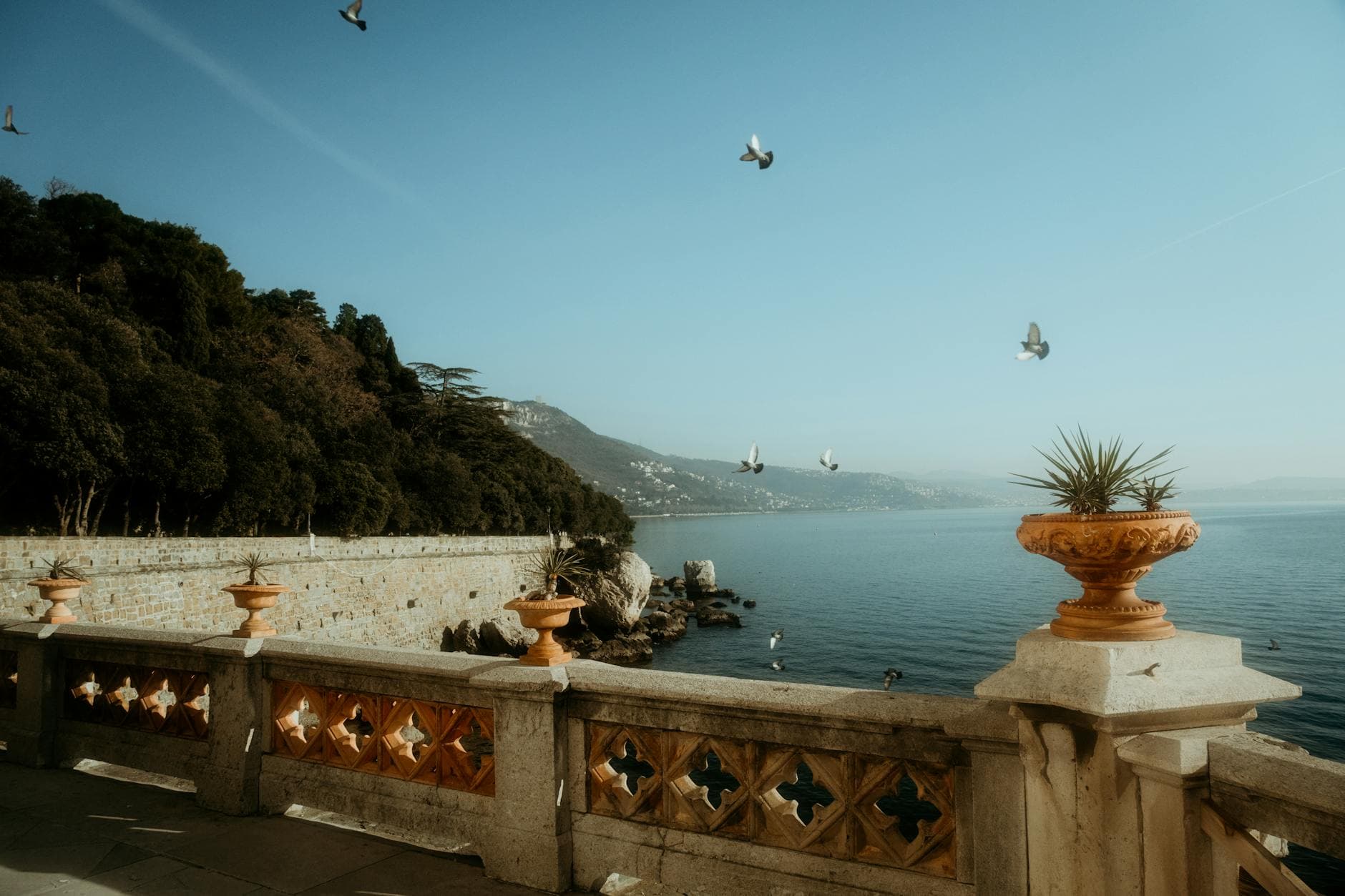 A tranquil seaside scene from Italy featuring pigeons, a rocky coastline, and classic stone architecture.
