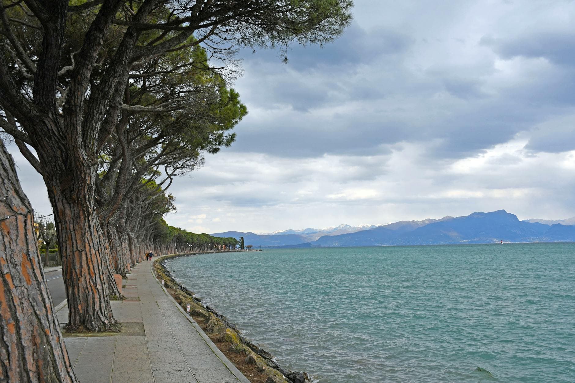 Beautiful lake view with lined trees in Peschiera del Garda, Italy, showcasing serene nature and lush landscape.