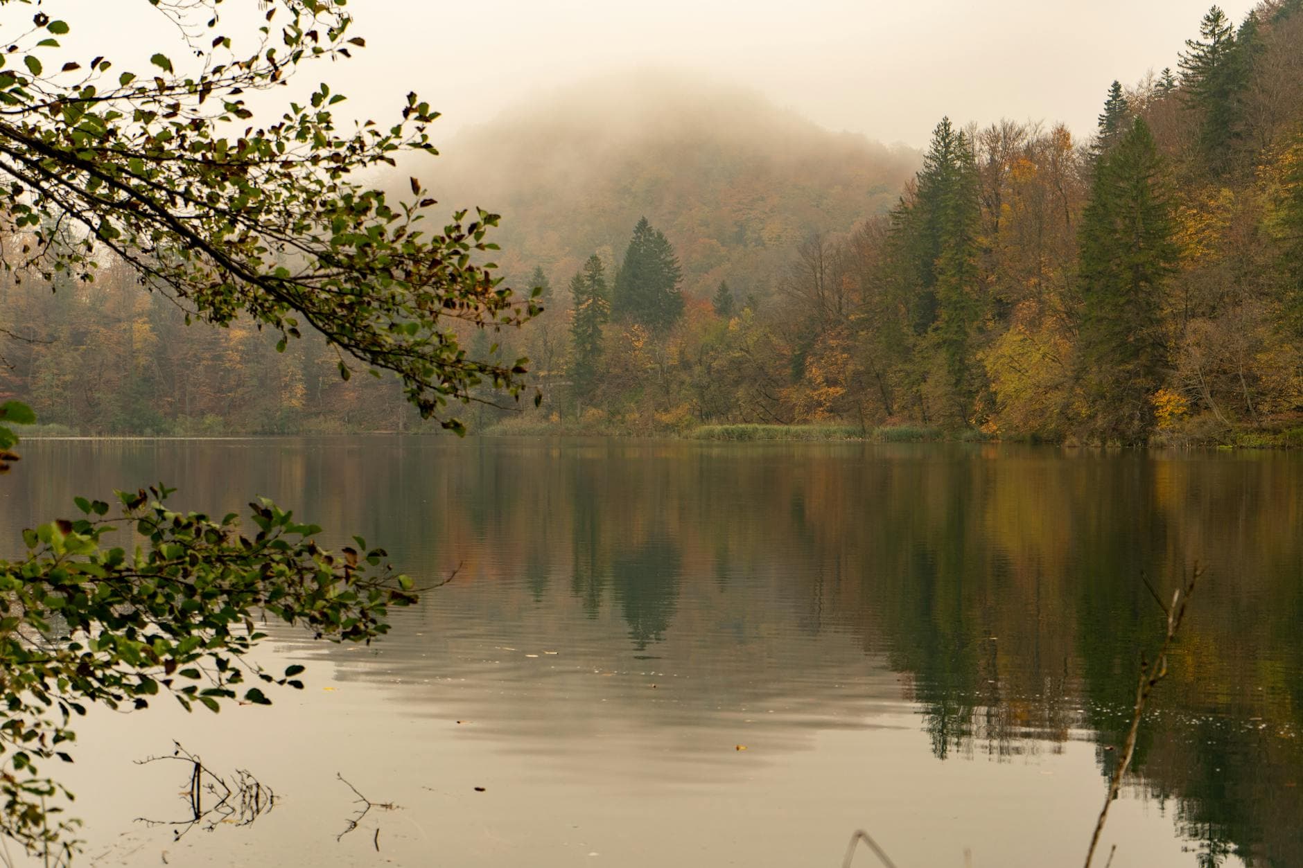 Serene view of misty autumn foliage reflecting on a lake at Plitvice Lakes National Park in Croatia.