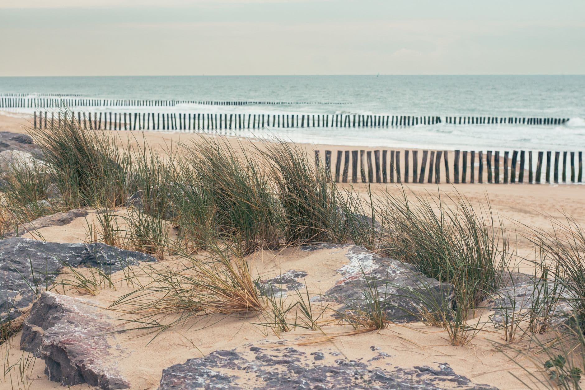 Peaceful beach scene in Hauts-de-France, France featuring grass, rocks, and coastline views.