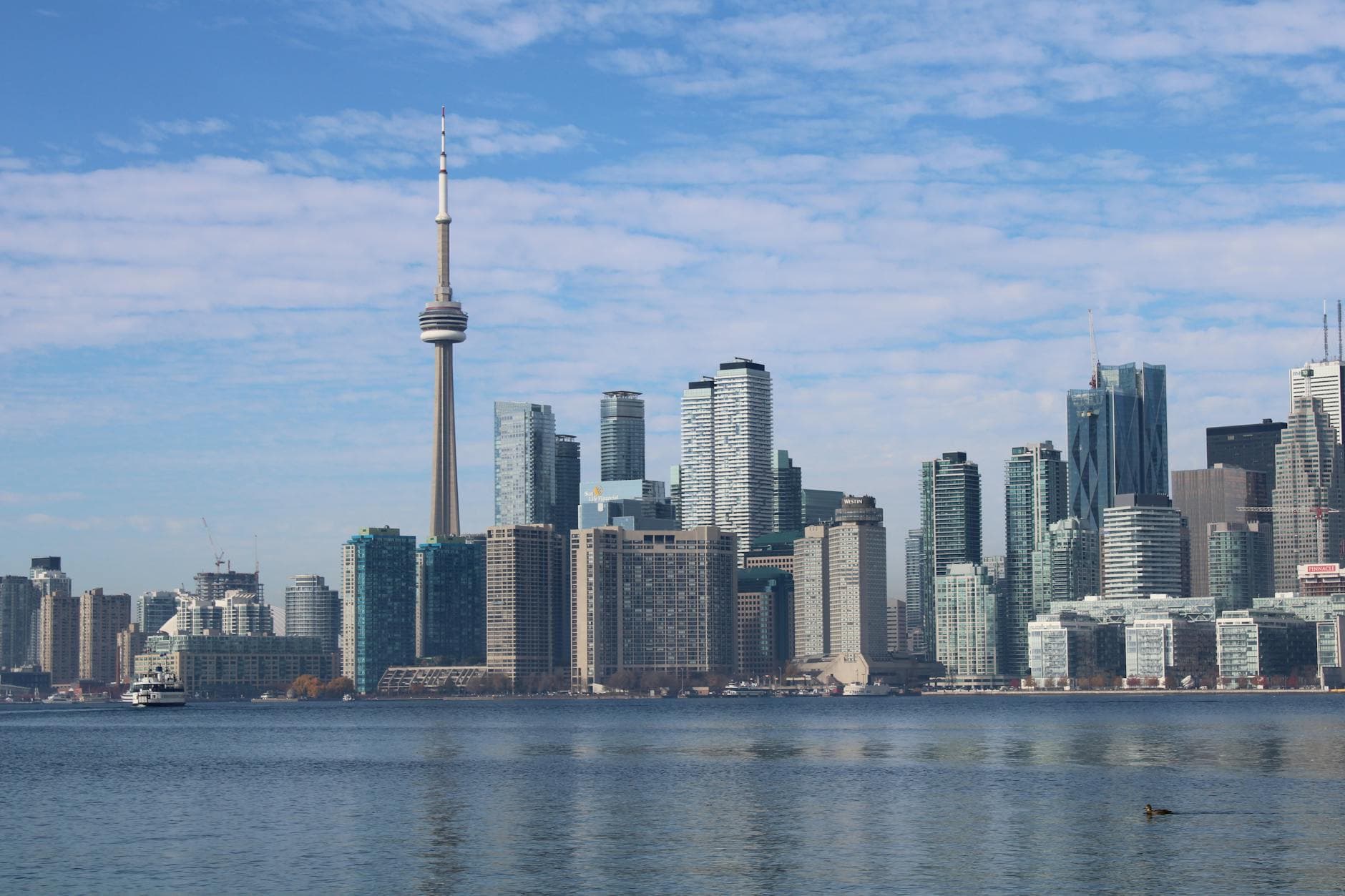 Scenic view of Toronto's skyline, featuring the iconic CN Tower with a waterfront foreground.