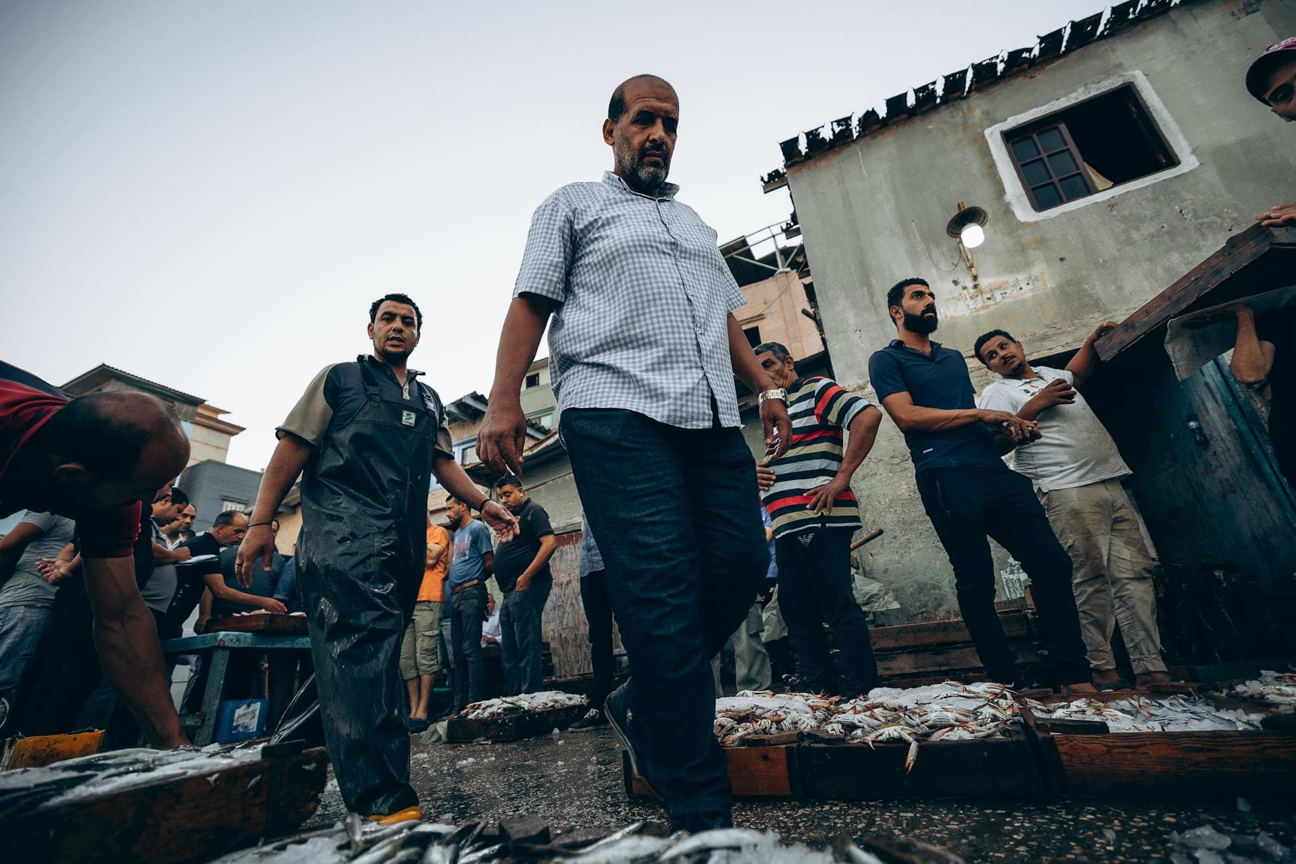 Men working in a bustling fish market in Ras El-Bar, Egypt at twilight.