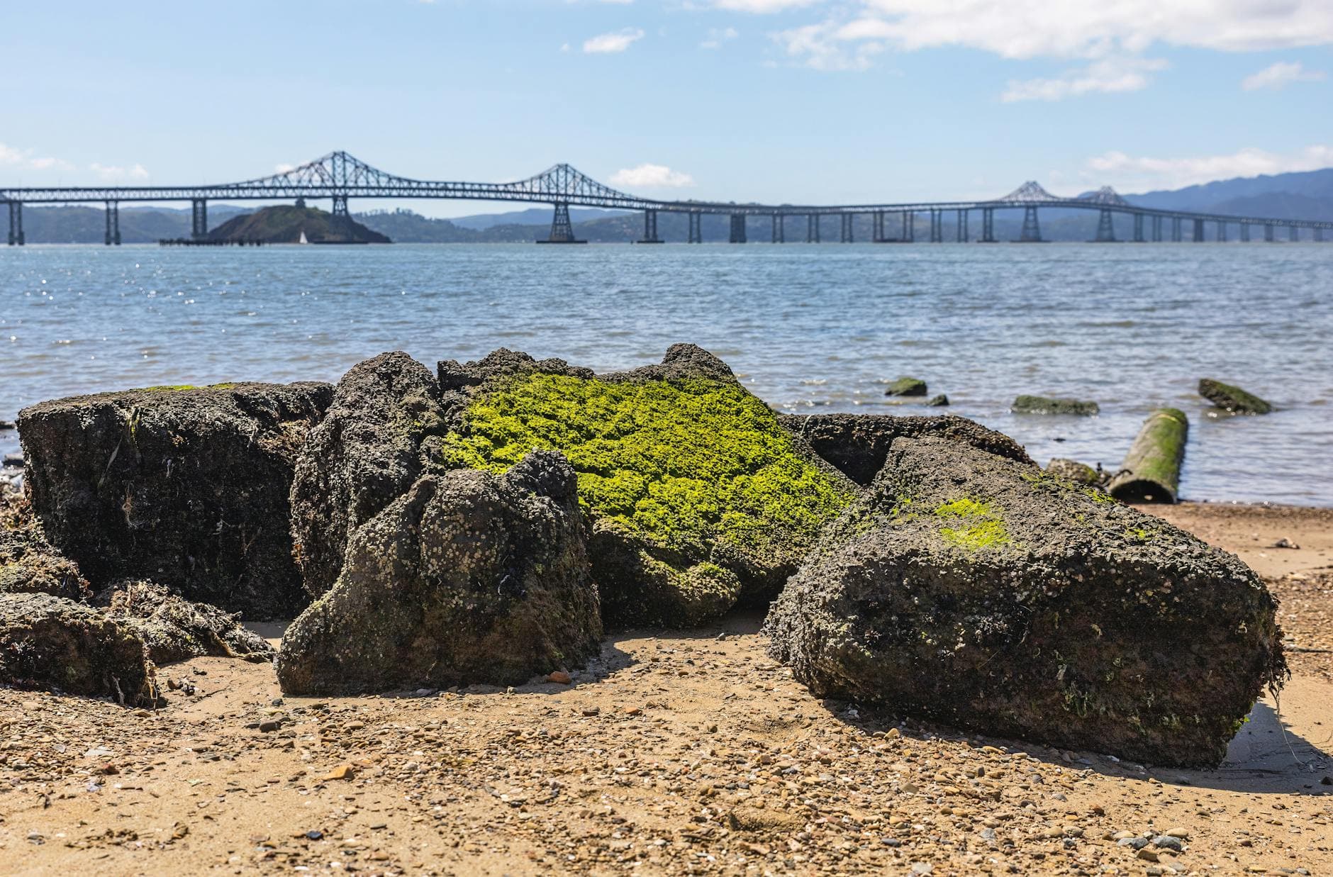 Moss-covered rocks on the sandy shore with the Richmond-San Rafael Bridge spanning the ocean.