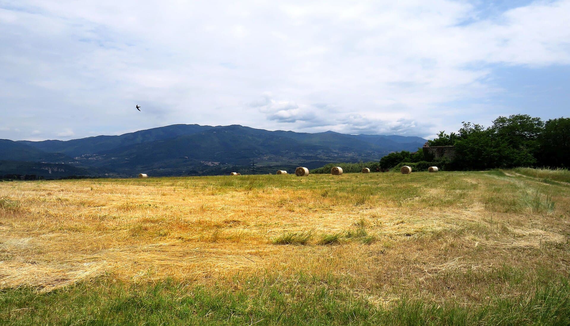 Rignano sull'Arno, Italy
