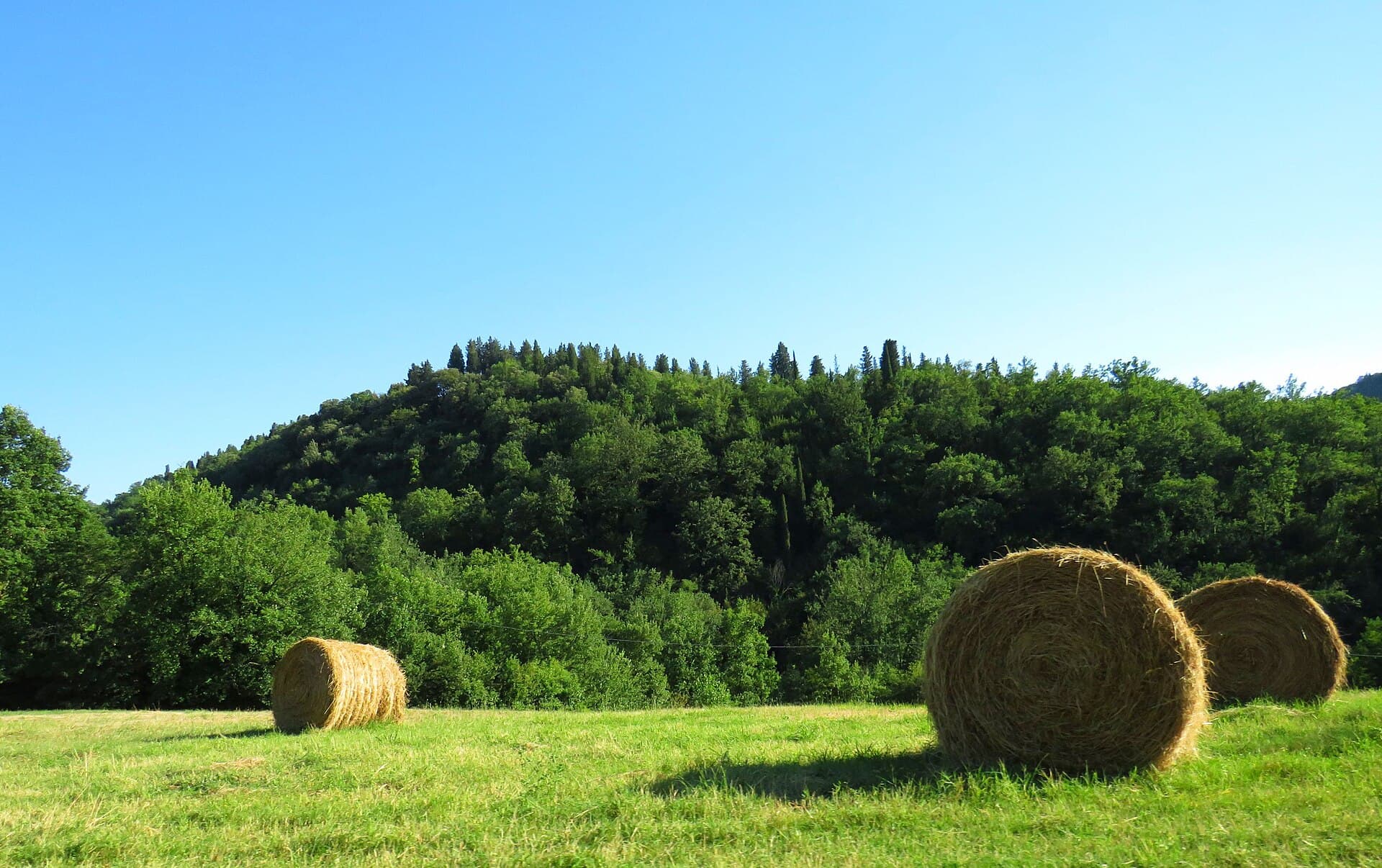 Rignano sull'Arno, Italy