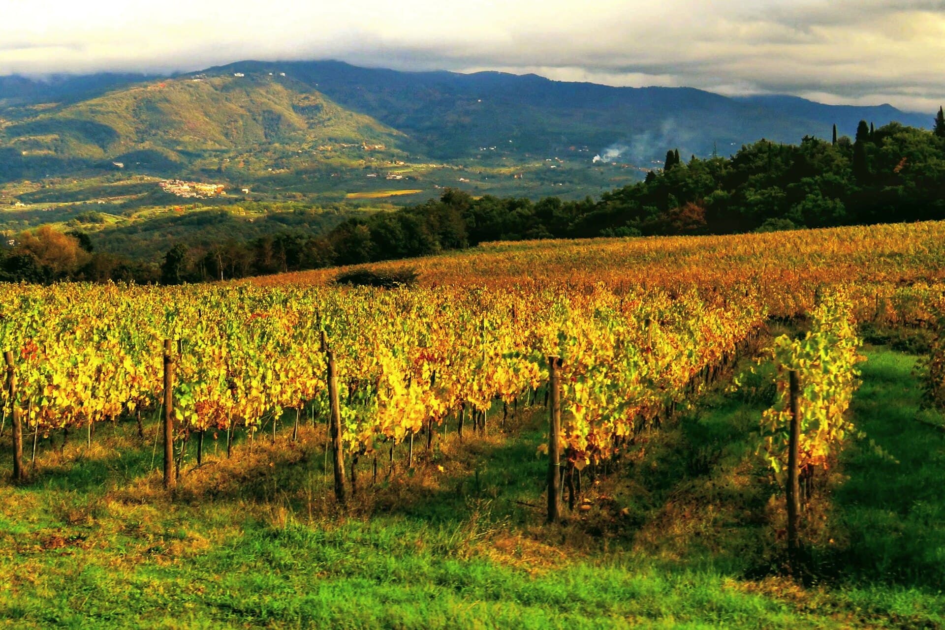Rignano sull'Arno, Italy