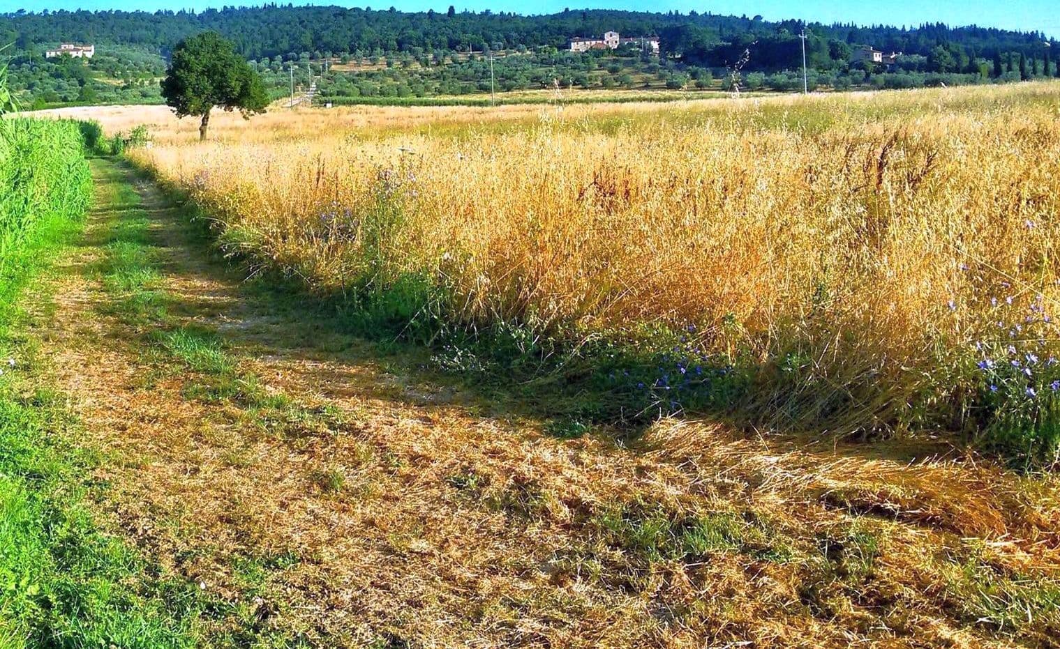 Rignano sull'Arno, Italy