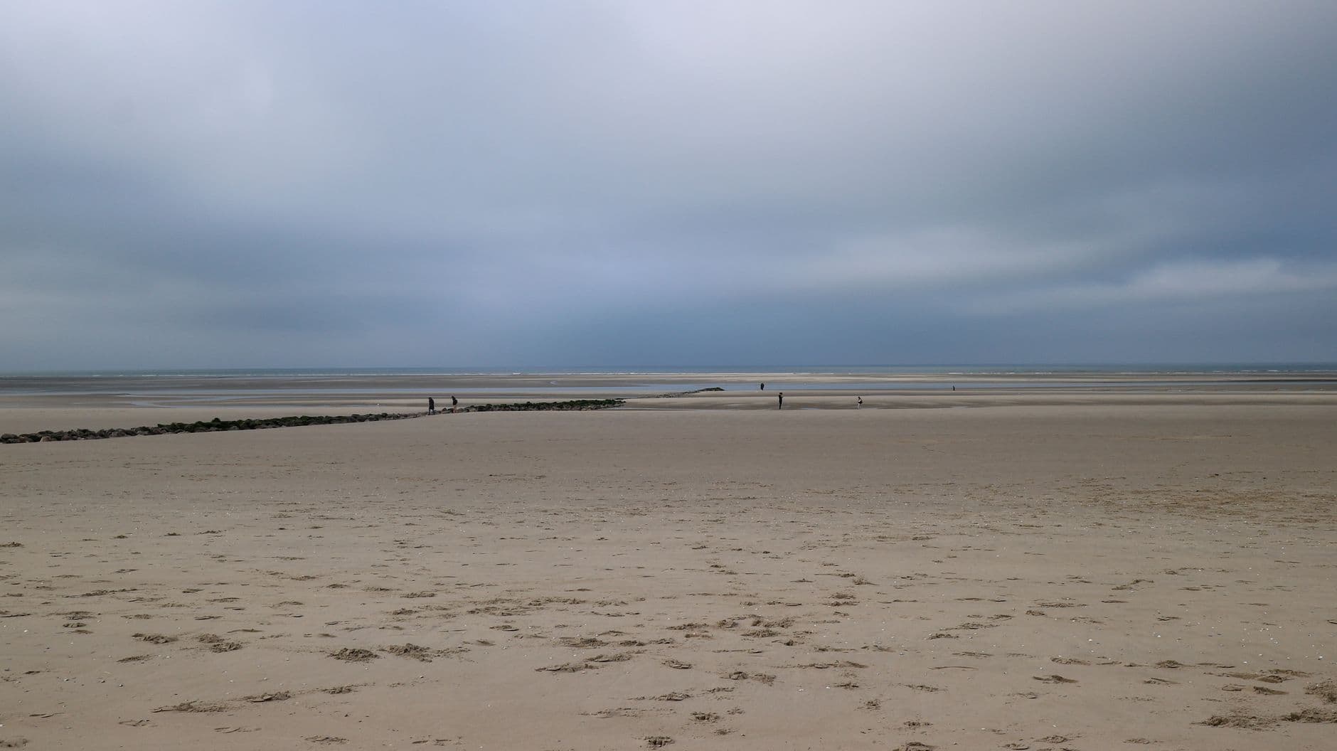 A serene and expansive view of Berck beach in Hauts-de-France with a moody sky.