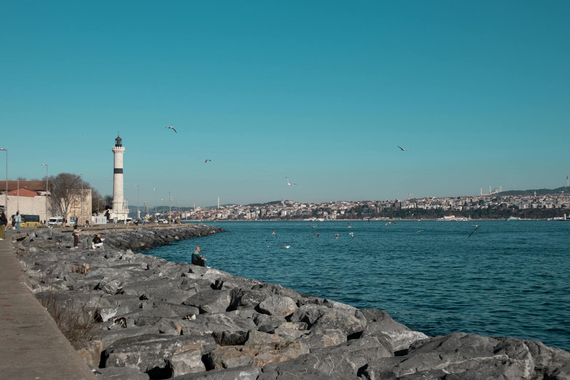 Beautiful view of Istanbul's coastline featuring a lighthouse and sea birds under a clear blue sky.