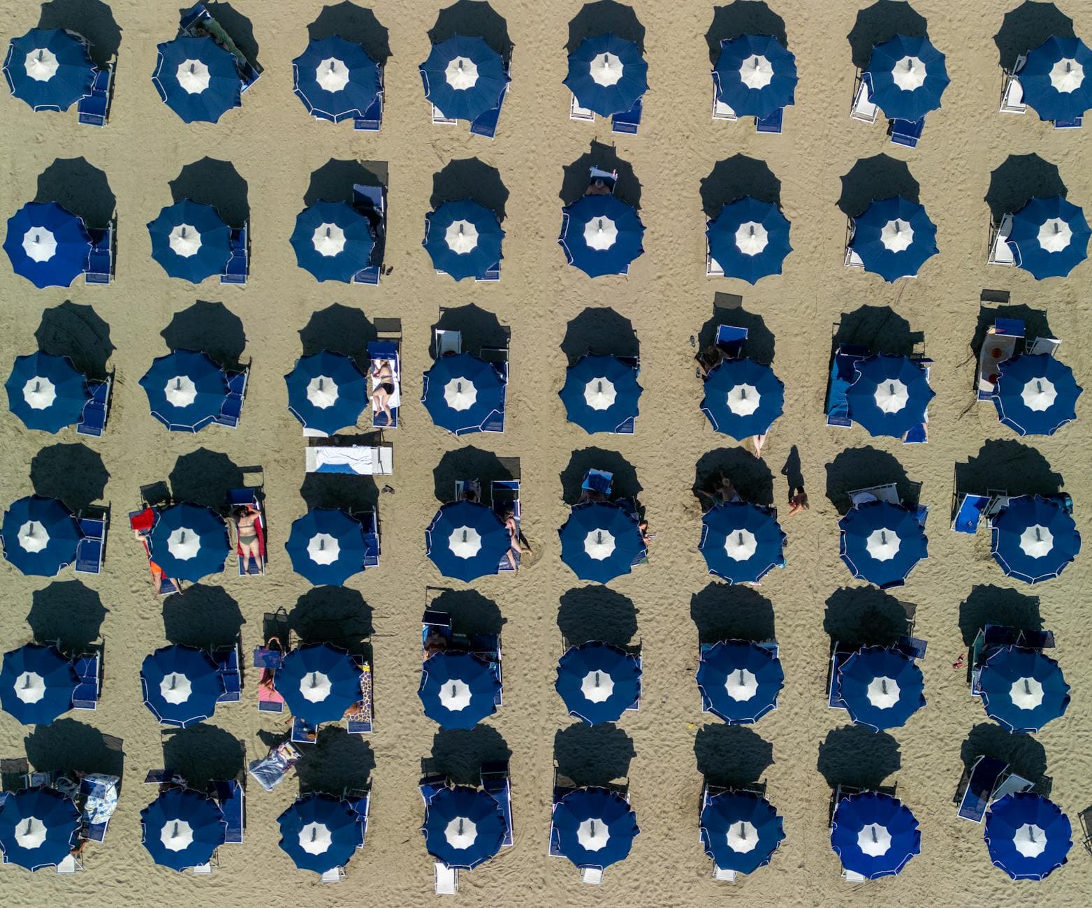 Aerial shot of blue beach umbrellas arranged in rows on a sandy Italian beach.