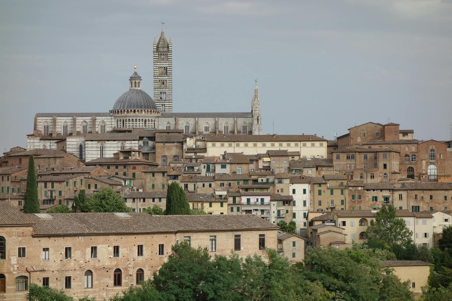 Stunning view of the Siena Cathedral towering over historic buildings.