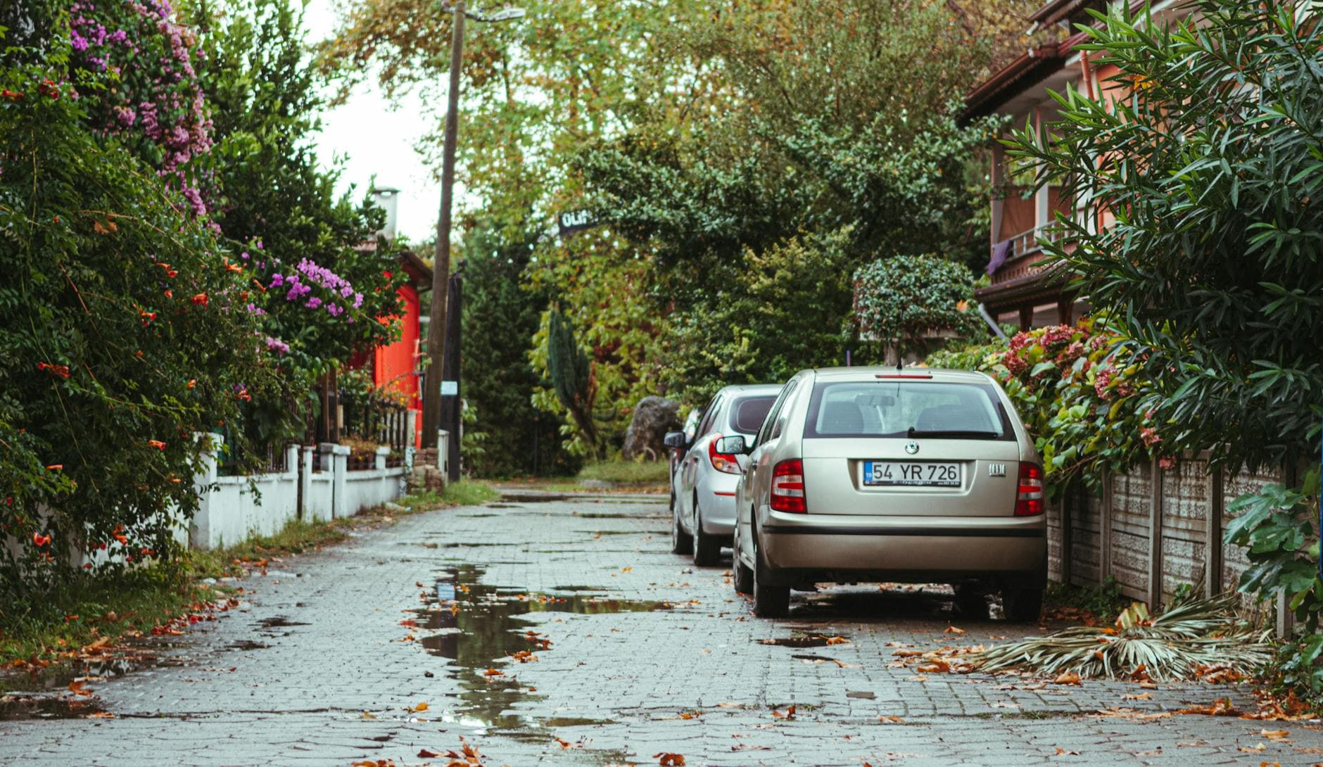 A serene suburban street in Sapanca, Turkey with parked cars after rainfall.