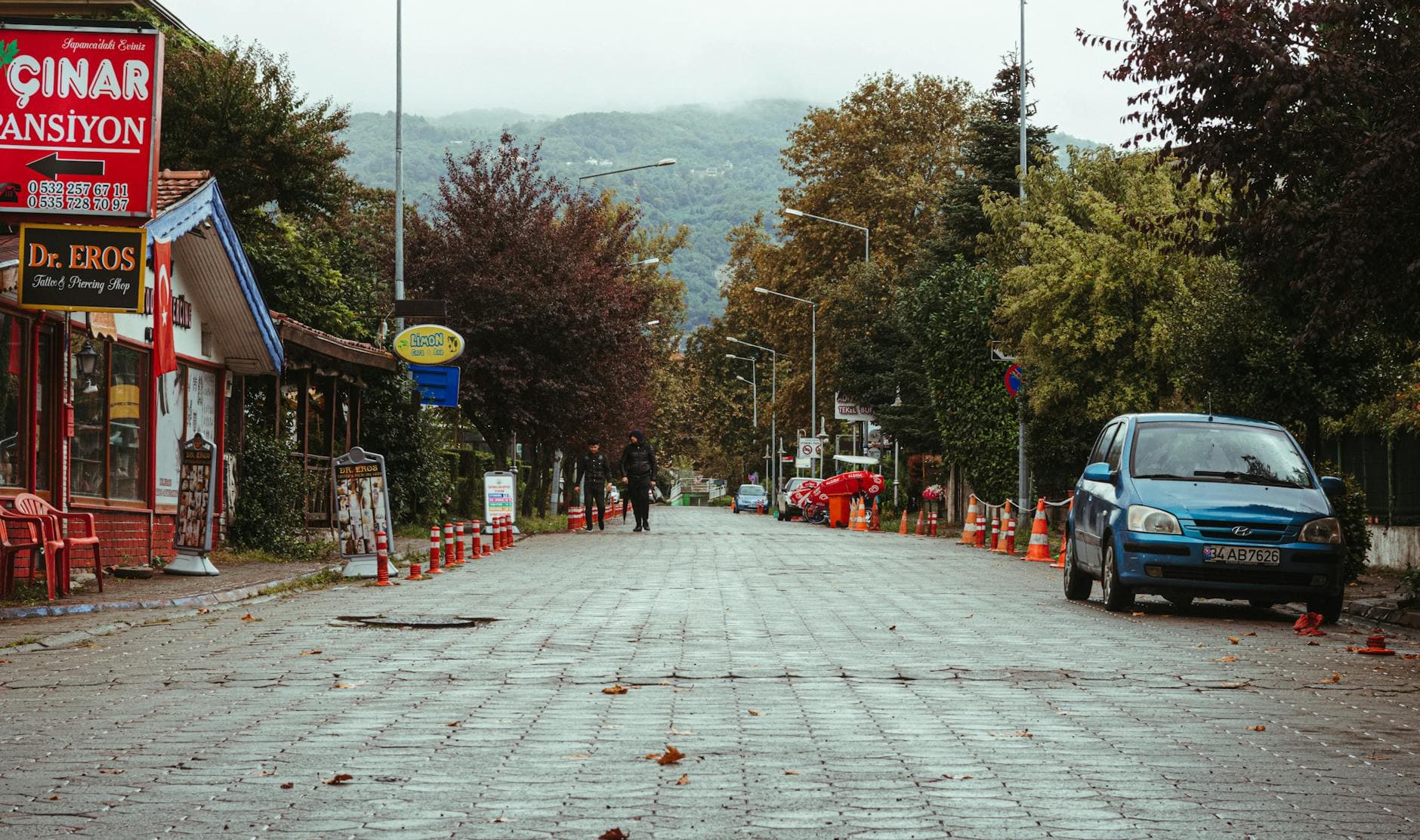Charming autumn street view in Sapanca, Turkey with trees, shops, and a parked car.