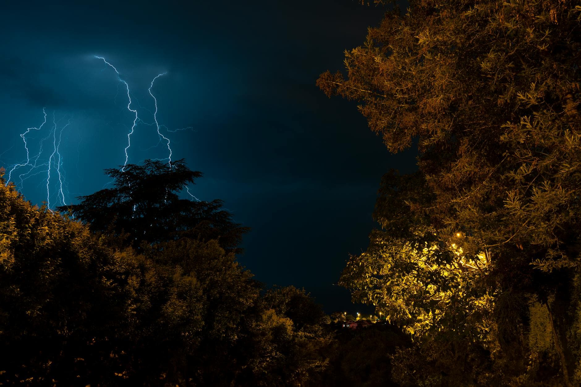 A stunning view of lightning strikes illuminating the night sky above Sapanca's lush trees.