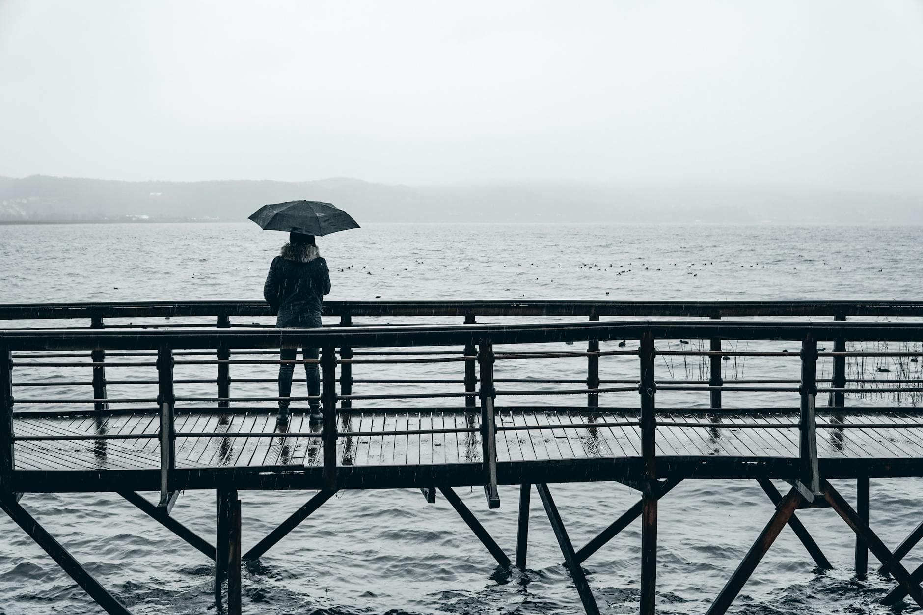 Person with umbrella standing on a rainy pier overlooking Sapanca Lake, Türkiye.