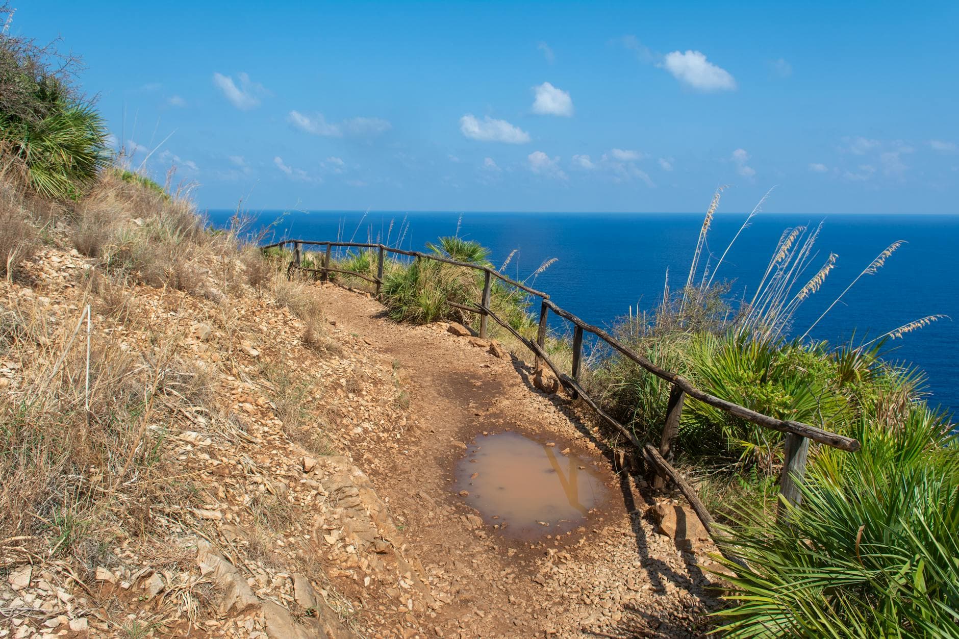 A breathtaking coastal trail along the cliffs of Scopello, Sicily, overlooking the vibrant Mediterranean Sea.