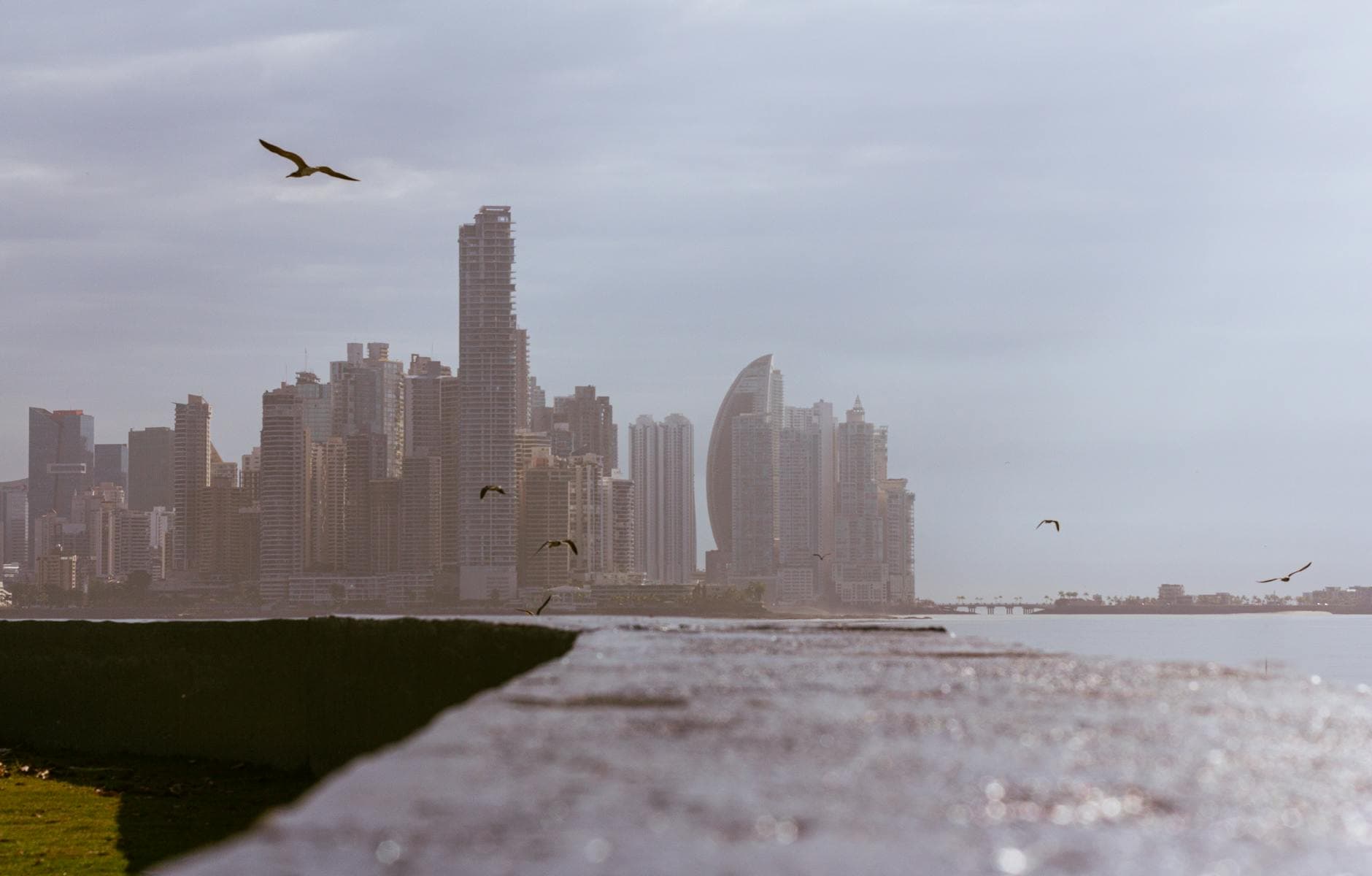 Majestic view of a modern city's skyline along the coastal waterfront with birds flying by.