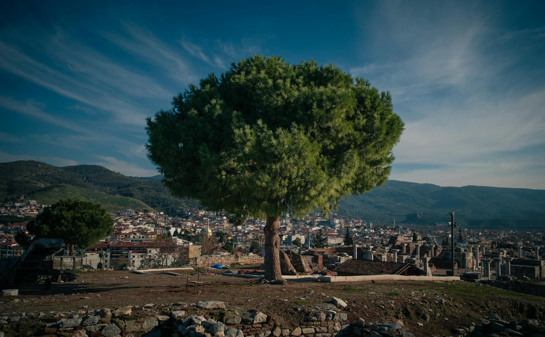 A scenic view of Selçuk fortress with a prominent pine tree against a blue sky in Türkiye.