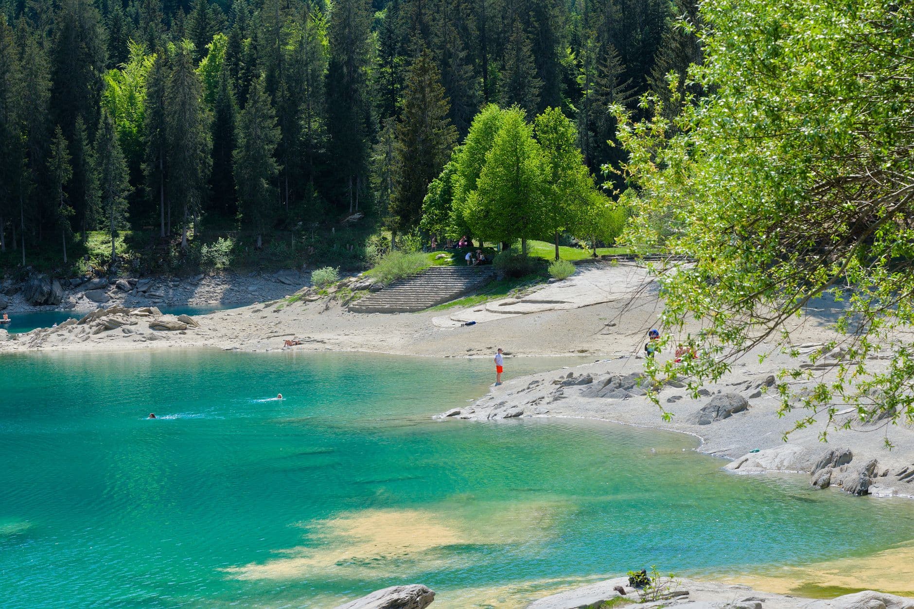 Stunning view of a turquoise lake surrounded by lush forests in Switzerland, perfect for a summer escape.