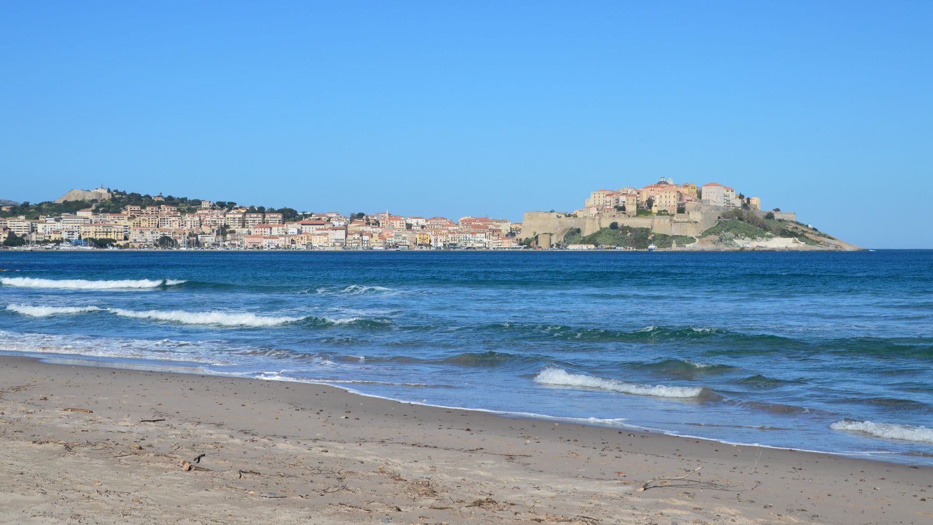 Beautiful beach view of Calvi with its historic citadel against a clear blue sky in Corsica, France.