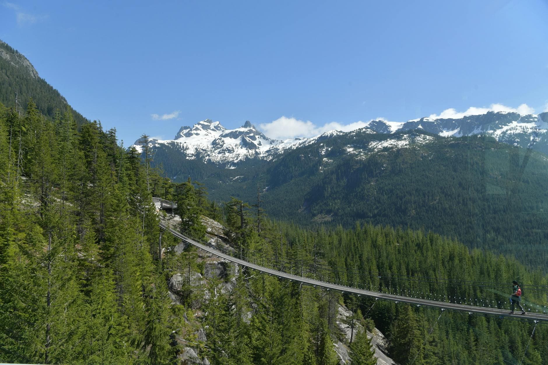 Breathtaking view of a suspension bridge amidst lush forests and snowy peaks in Squamish, BC, Canada.