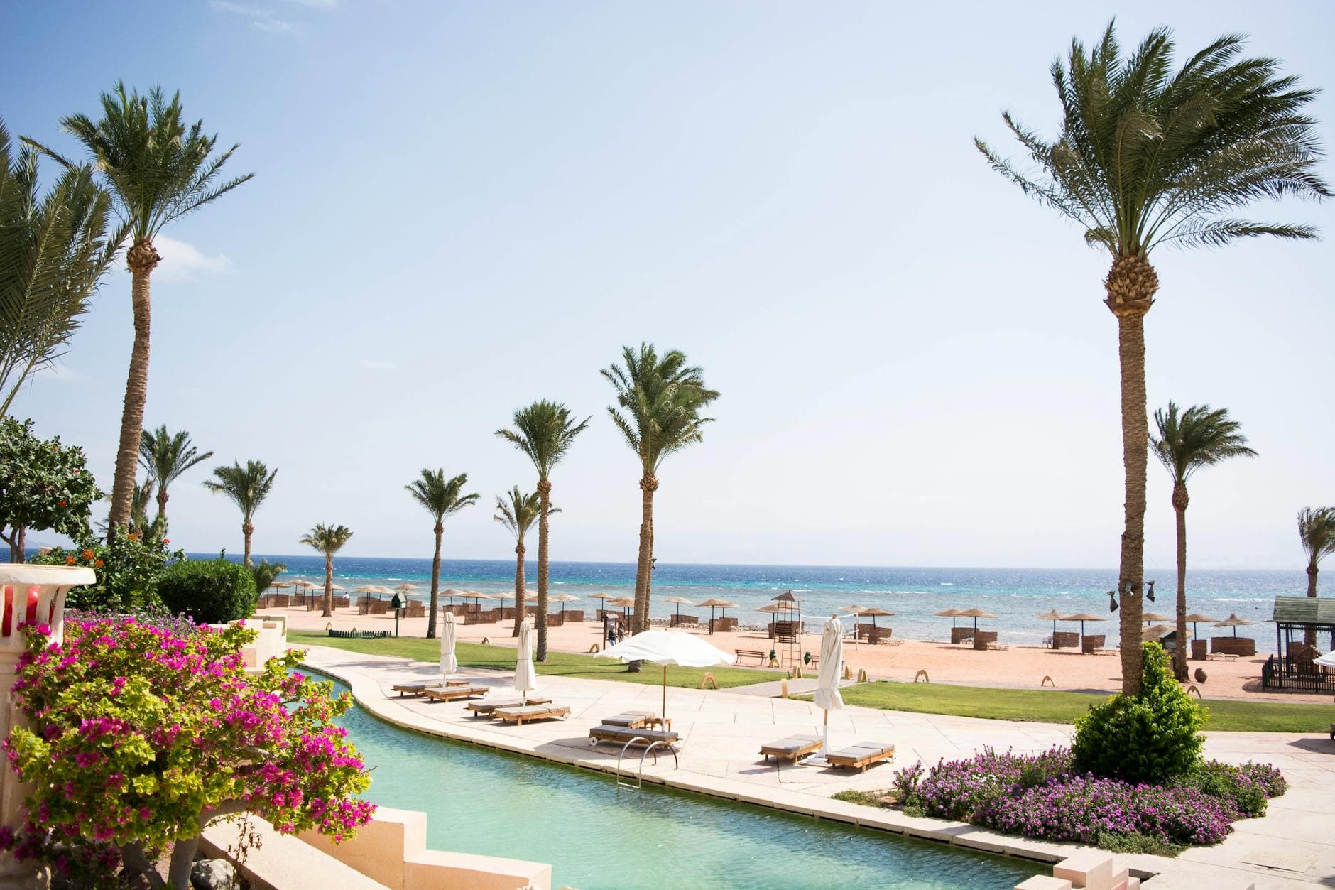 Stunning seaside resort with palm trees and a swimming pool in Taba, Egypt.