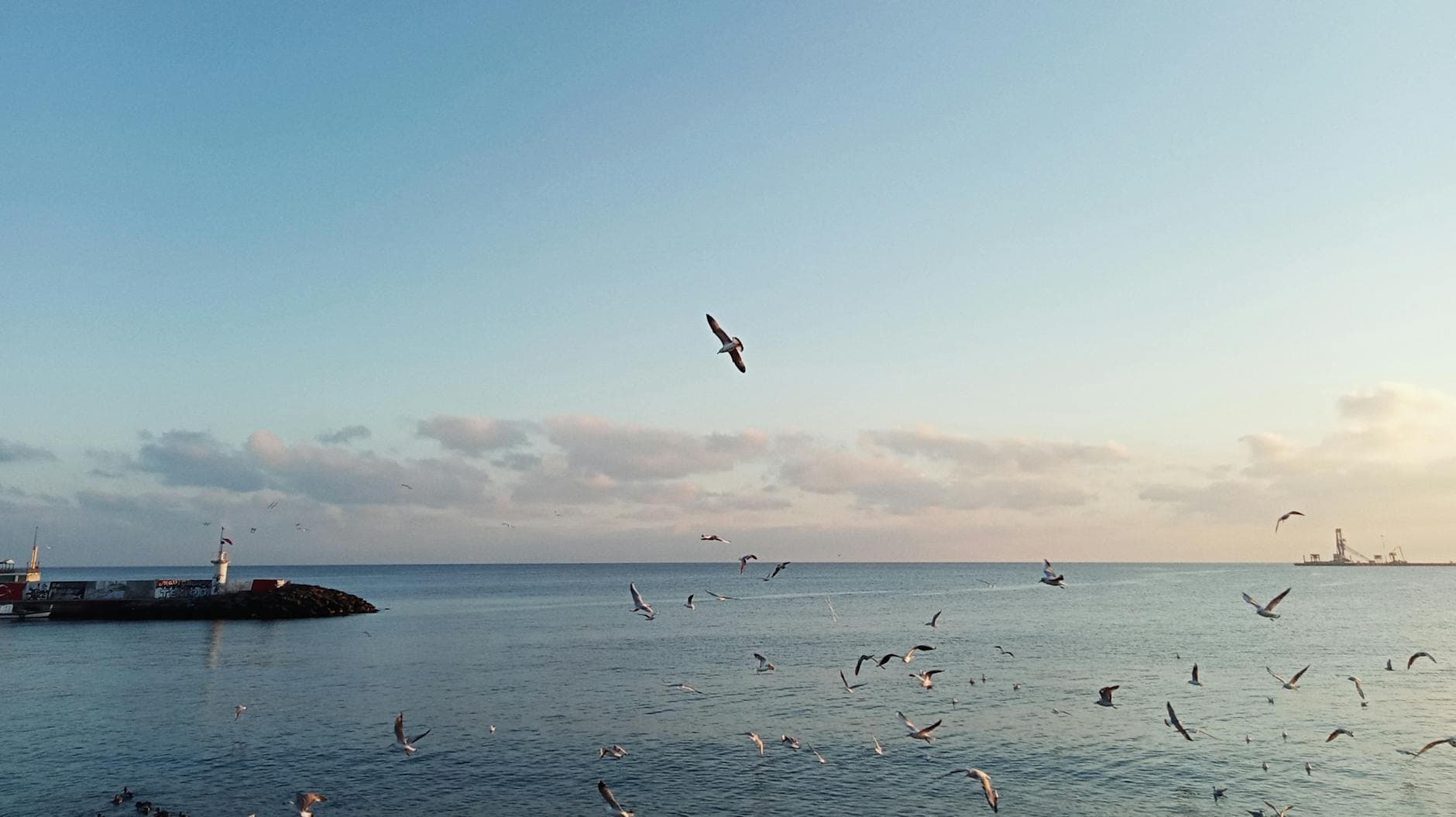 Serene view of seagulls soaring over the calm sea at sunset in Tekirdağ, Türkiye.