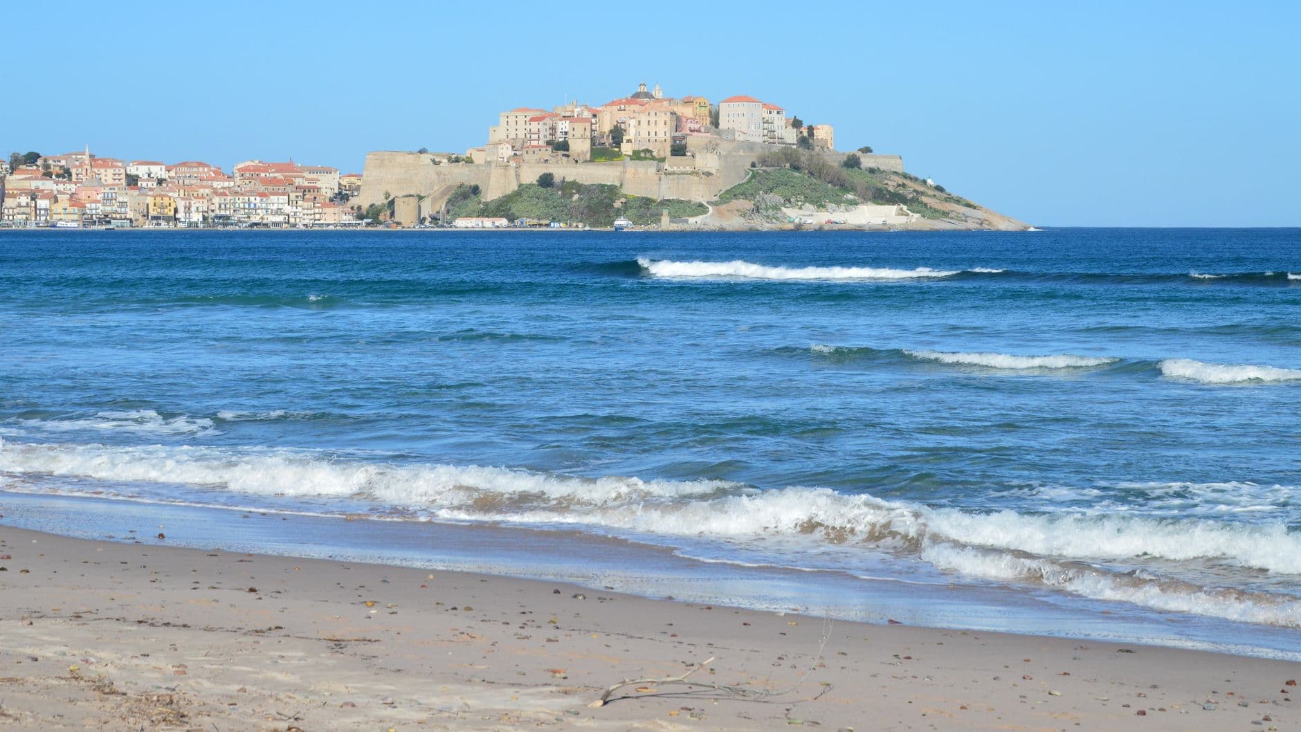 Vibrant coastal scene of Calvi beach with its historic citadel in Corsica, France.